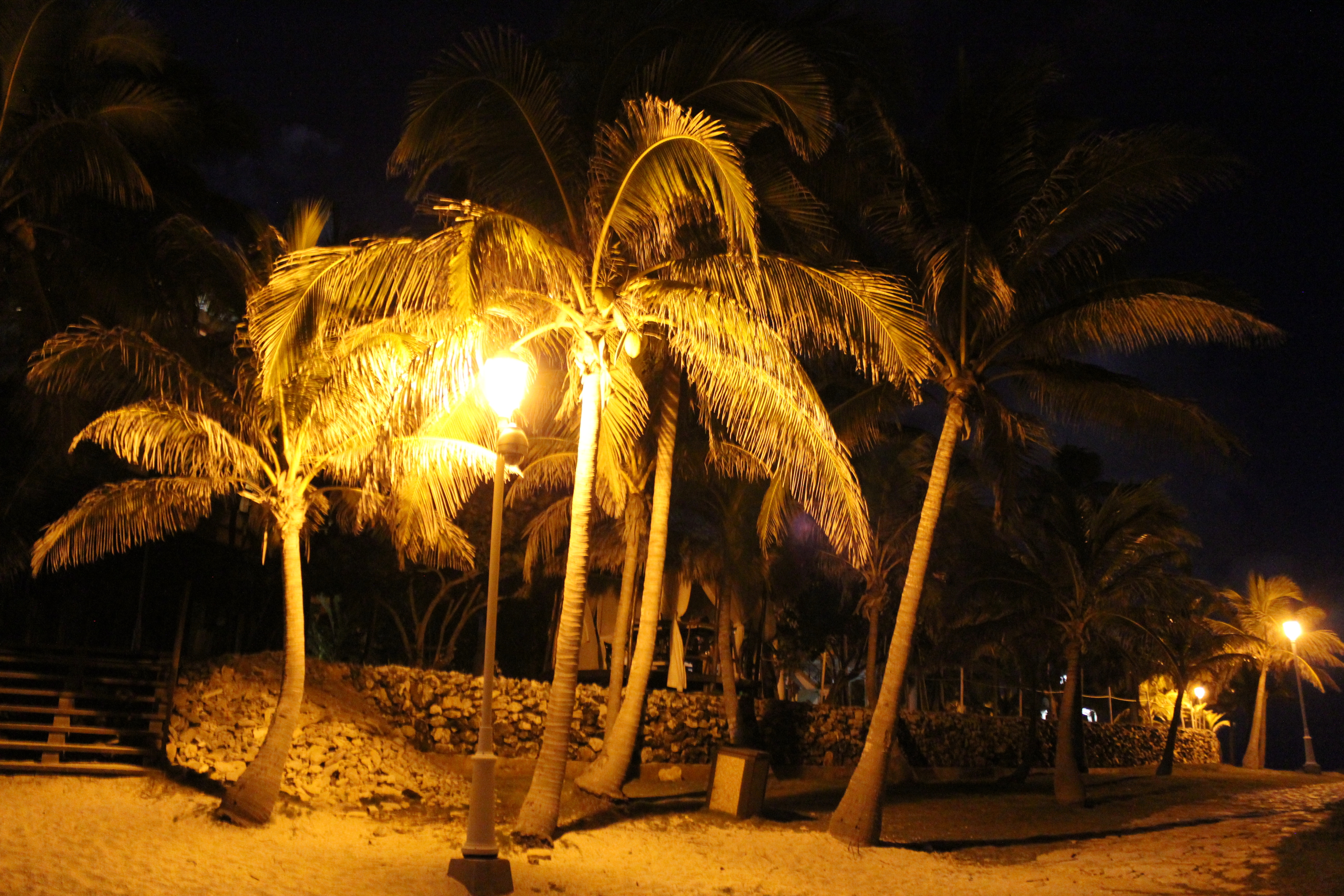 Wallpaper, trees, light, sea, summer, tree, night, Earth, walk, Cuba, palm, palmtree, moonlight, varadero, strall, melia 5184x3456