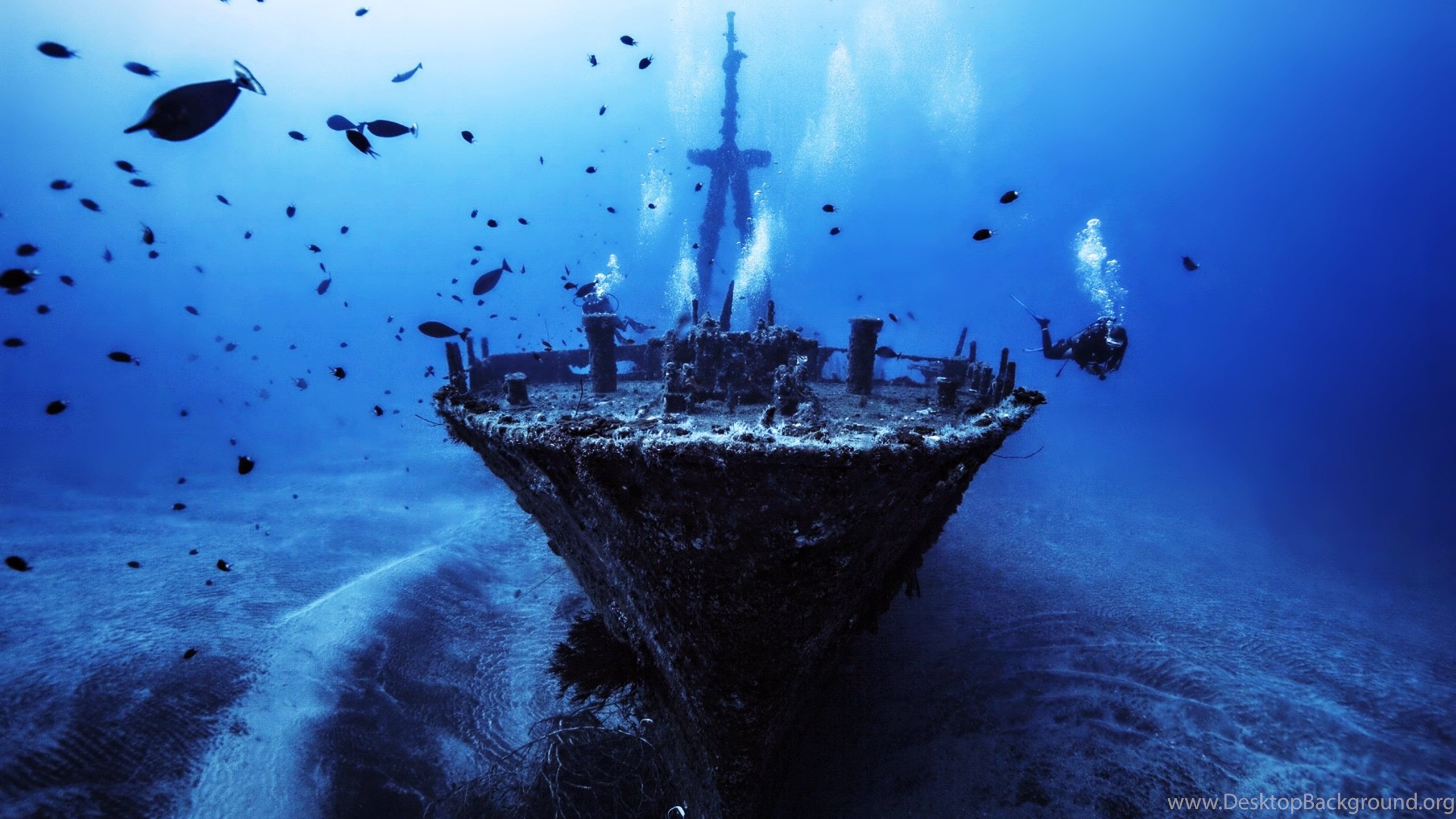 Boat Deep Depth Discover Fish Old Sea Ship Sunken Wallpaper. Desktop Background