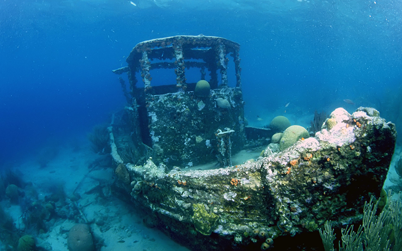 Coral Reef Sunken Ship