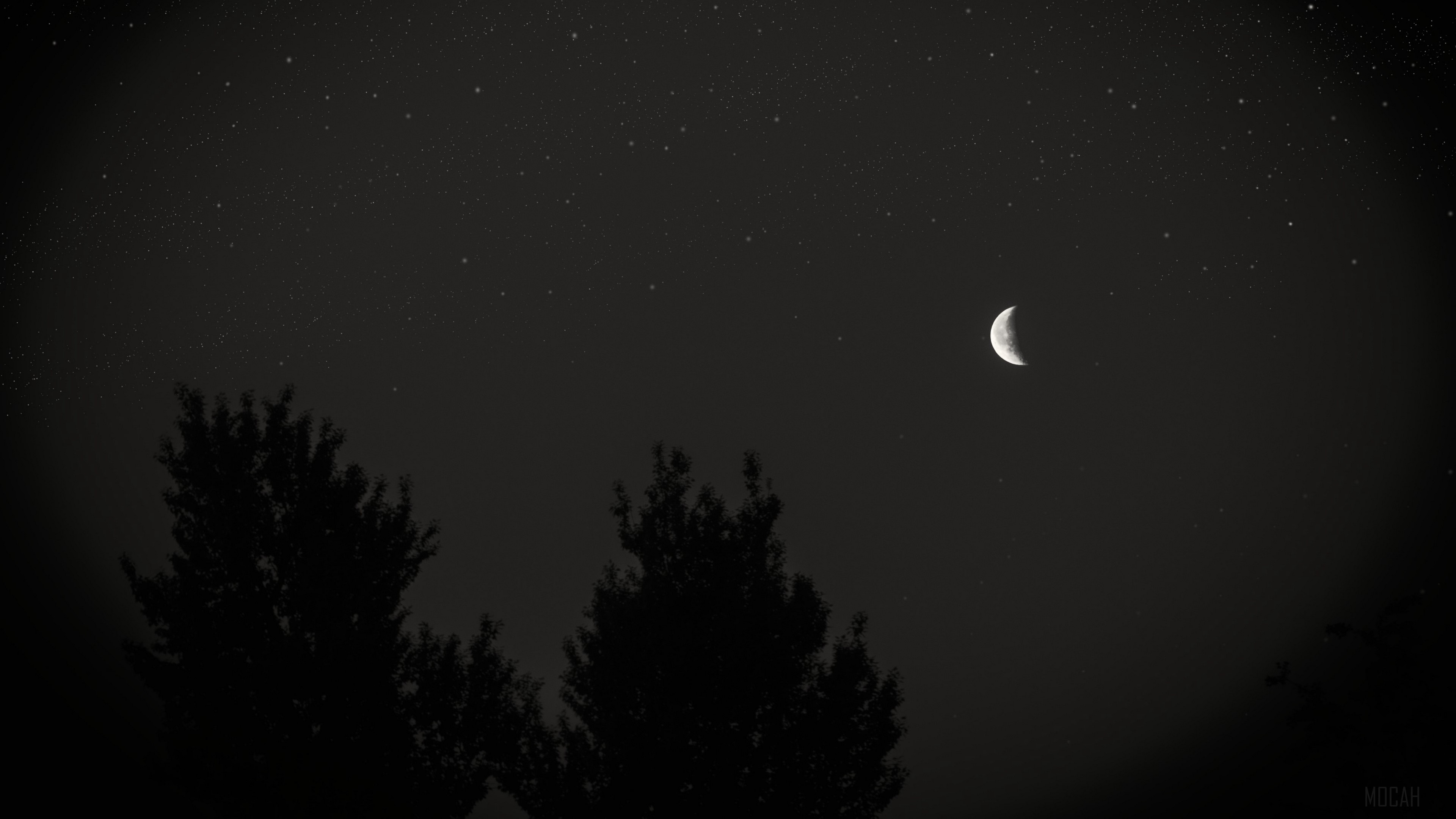 moon, night, sky, tree, stars, dark 4k wallpaper. Mocah HD Wallpaper