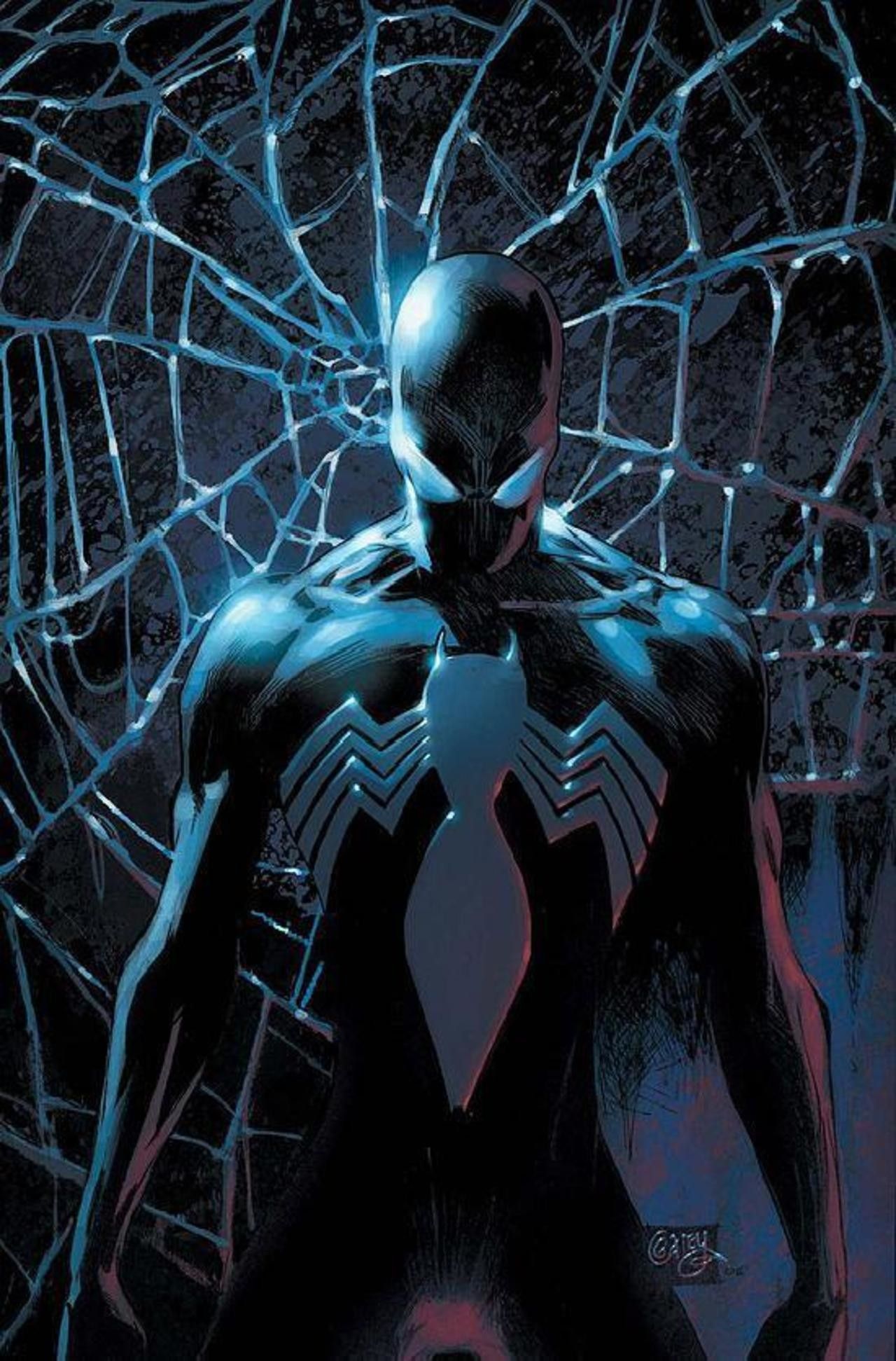 Black Spider Man Wallpaper