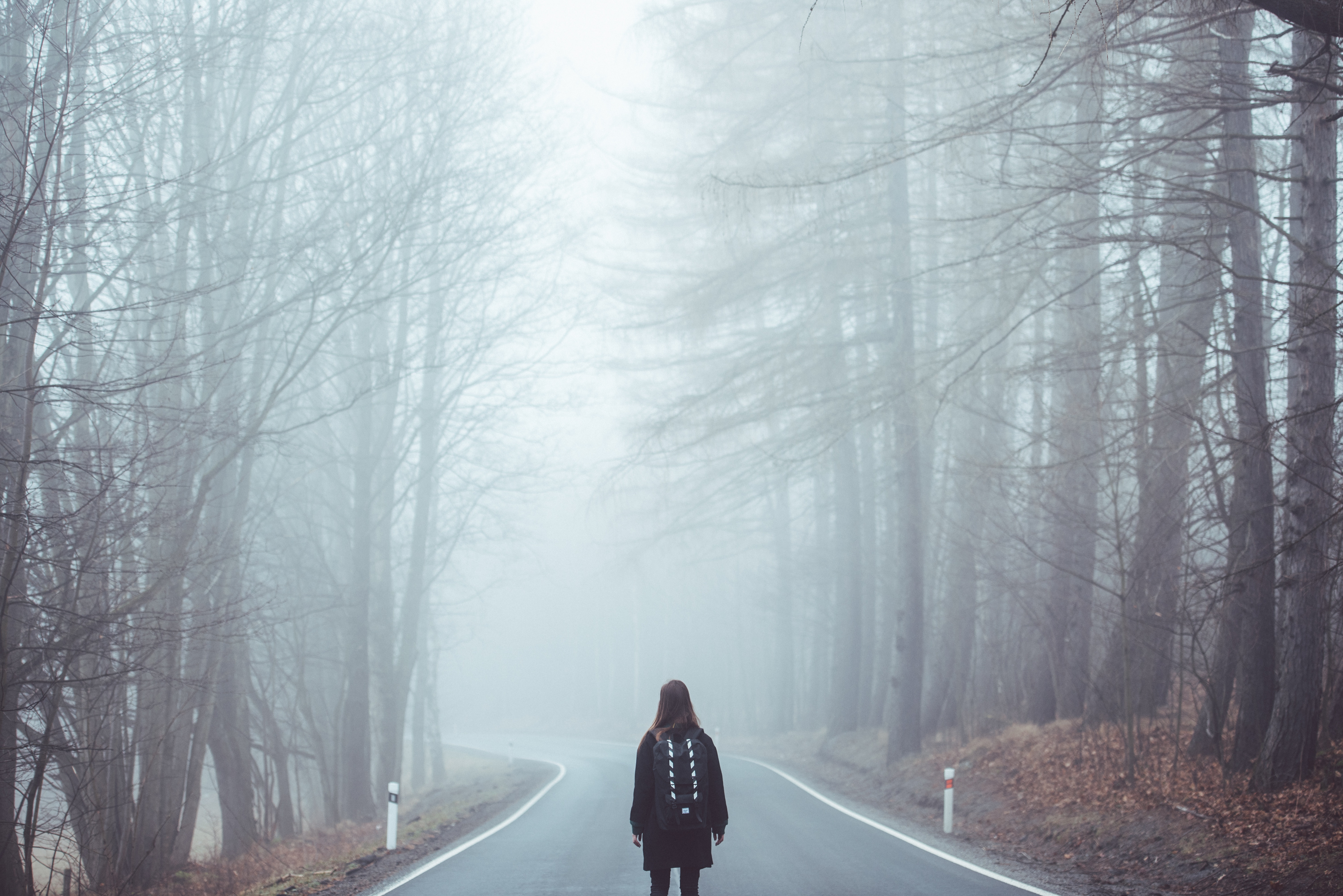 6016x4016 #alone, #fog, #misty forest, #hazy, #wood, #girl, #street, #Free , #tree, #backpack, #forest, #hiker, #woman, #mist, #fall, #leafe, #bag, #walking, #travel, #road, #misty. Mocah HD Wallpaper
