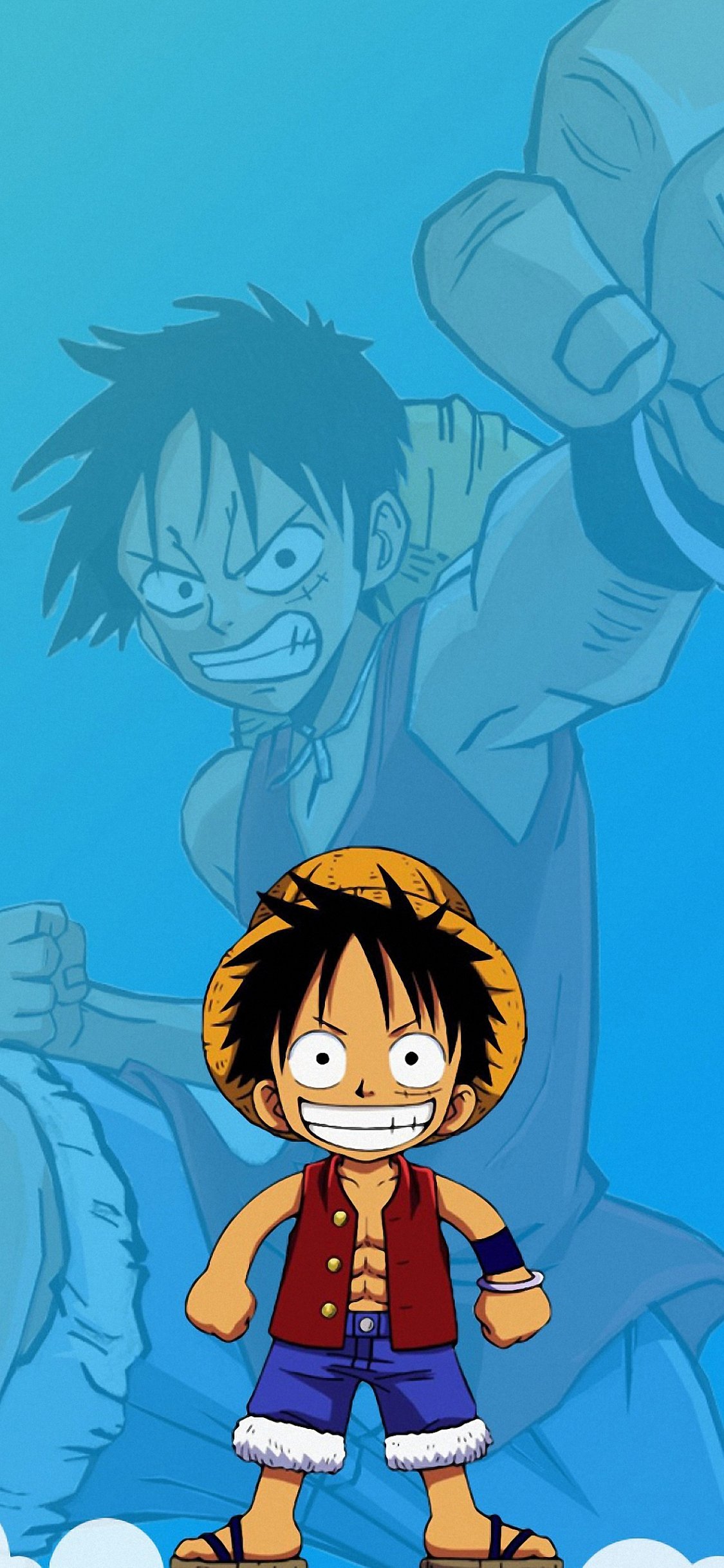 One Piece Portrait Wallpapers Wallpaper Cave