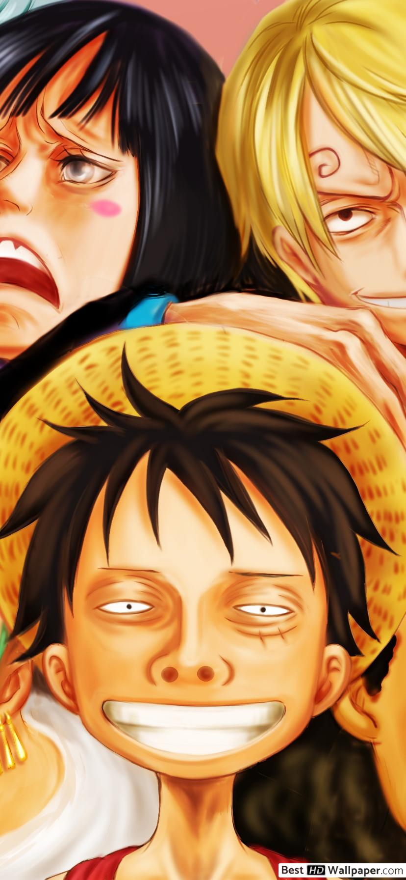 One Piece Portrait Wallpapers Wallpaper Cave