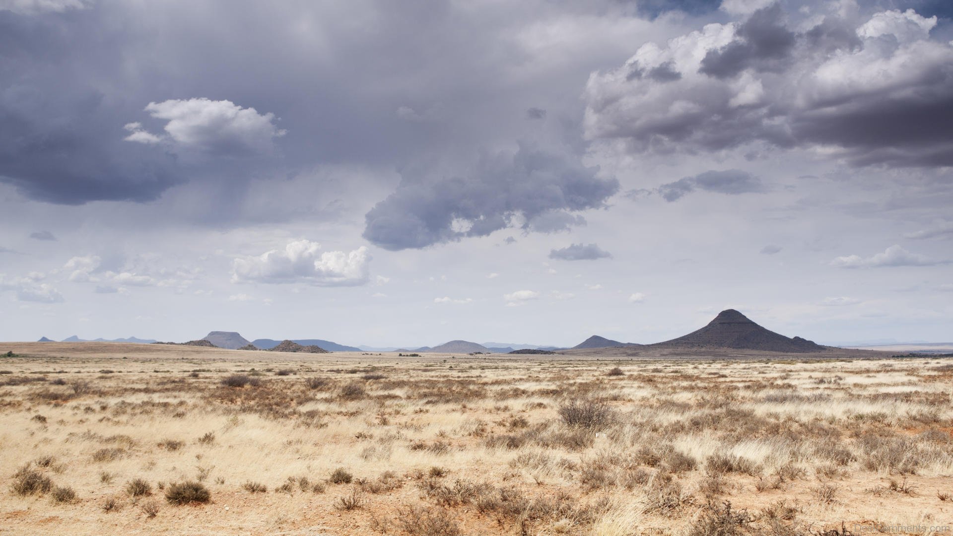 Karoo Desert Landscape