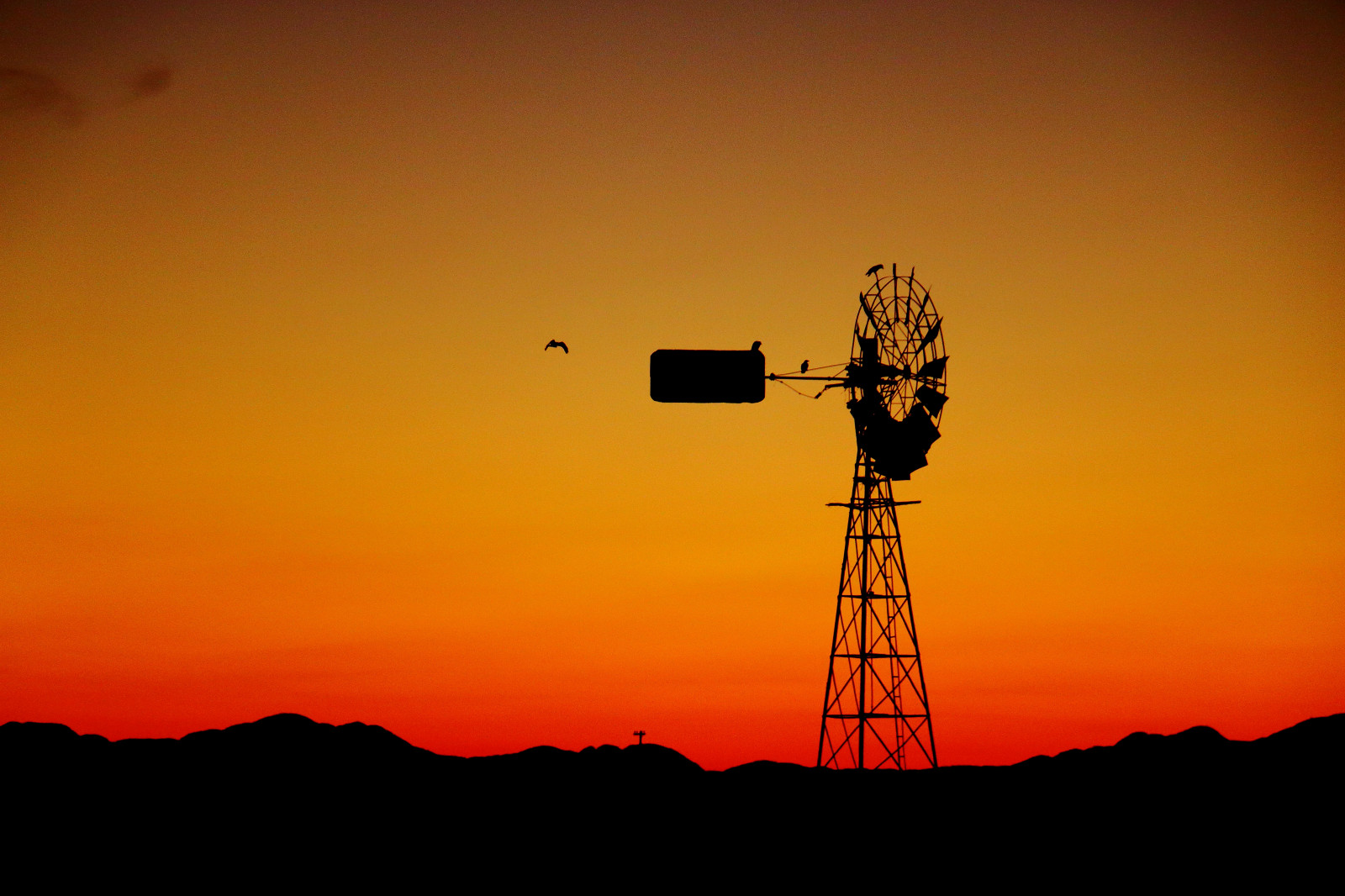 Wallpaper, morning, Sun, windmill, birds, contrast, sunrise, landscape, southafrica, early, earlymorning, karoo, landscapesunrise, karoosunrise, theunforgettablepicture 5472x3648