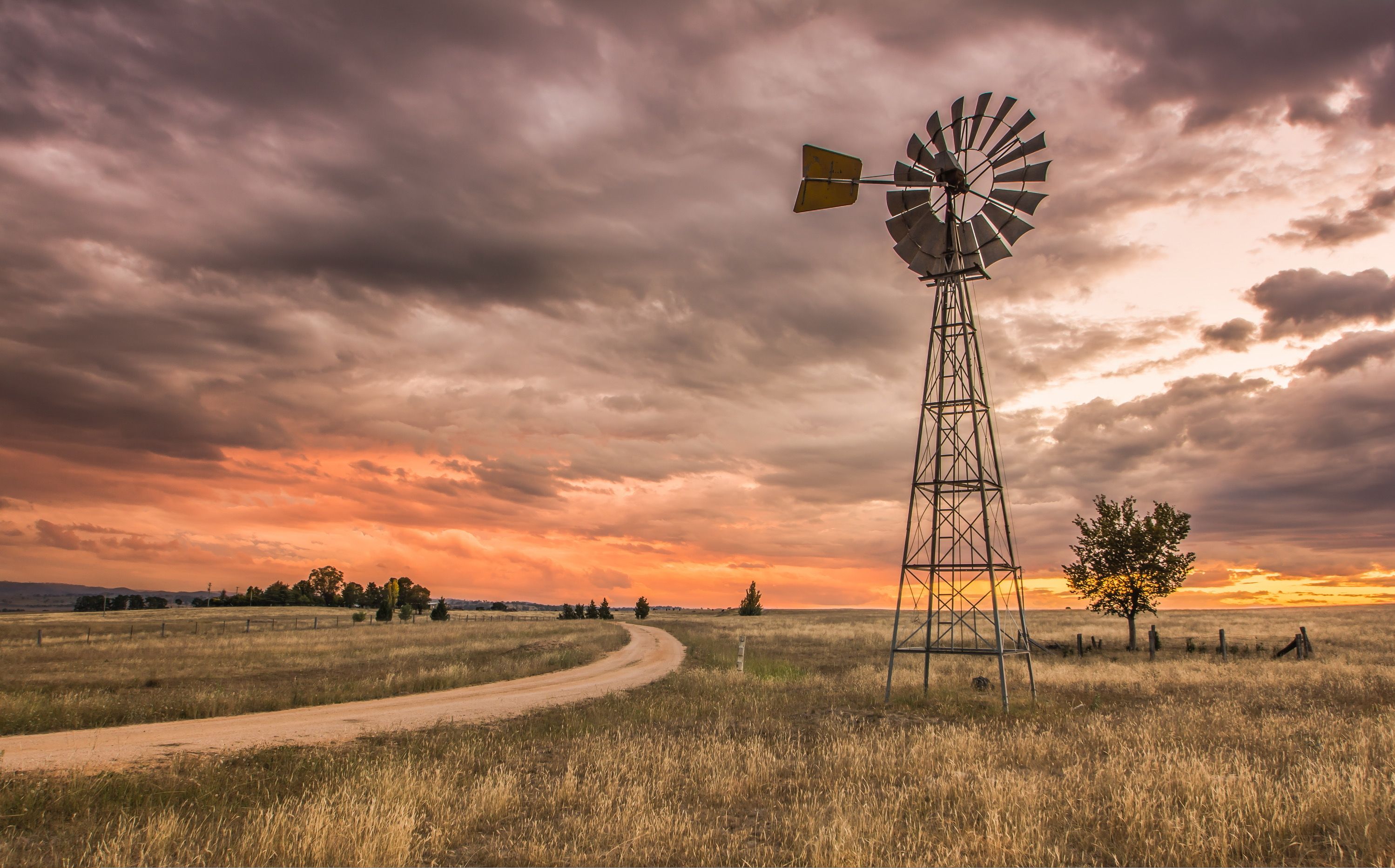 Windmill and country road (Brewongle, New South Wales, Australia) [photographer unknown]