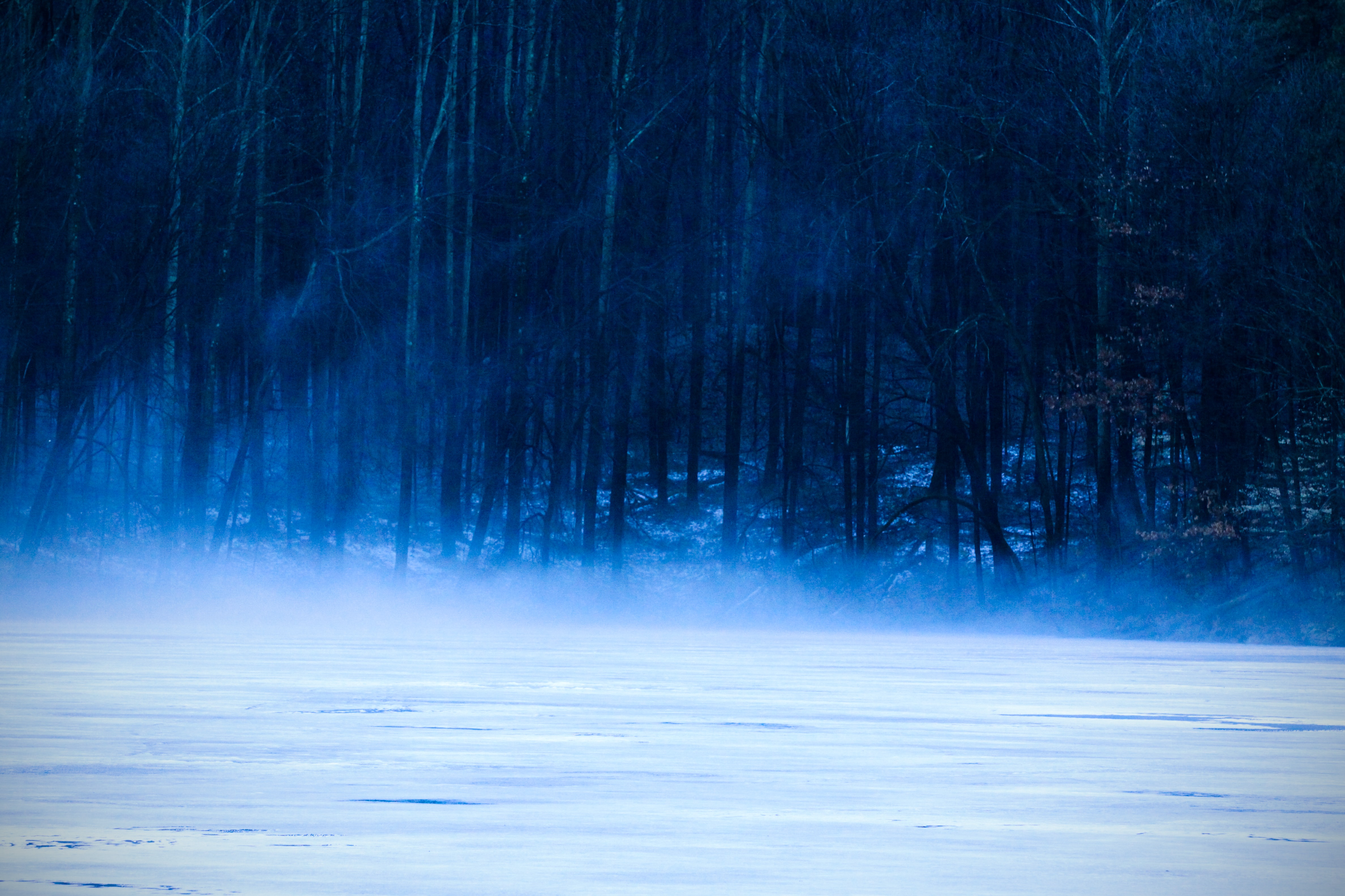 Wallpaper, trees, snow, forest, mist, dark, frozen lake, frozen water, USA 4752x3168