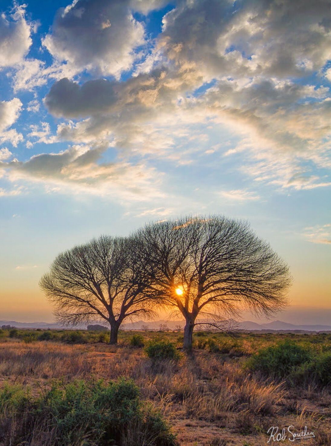 Sunrise (Great Karoo, South Africa) by Rob Southey. Africa photography, South africa road trips, South african holidays