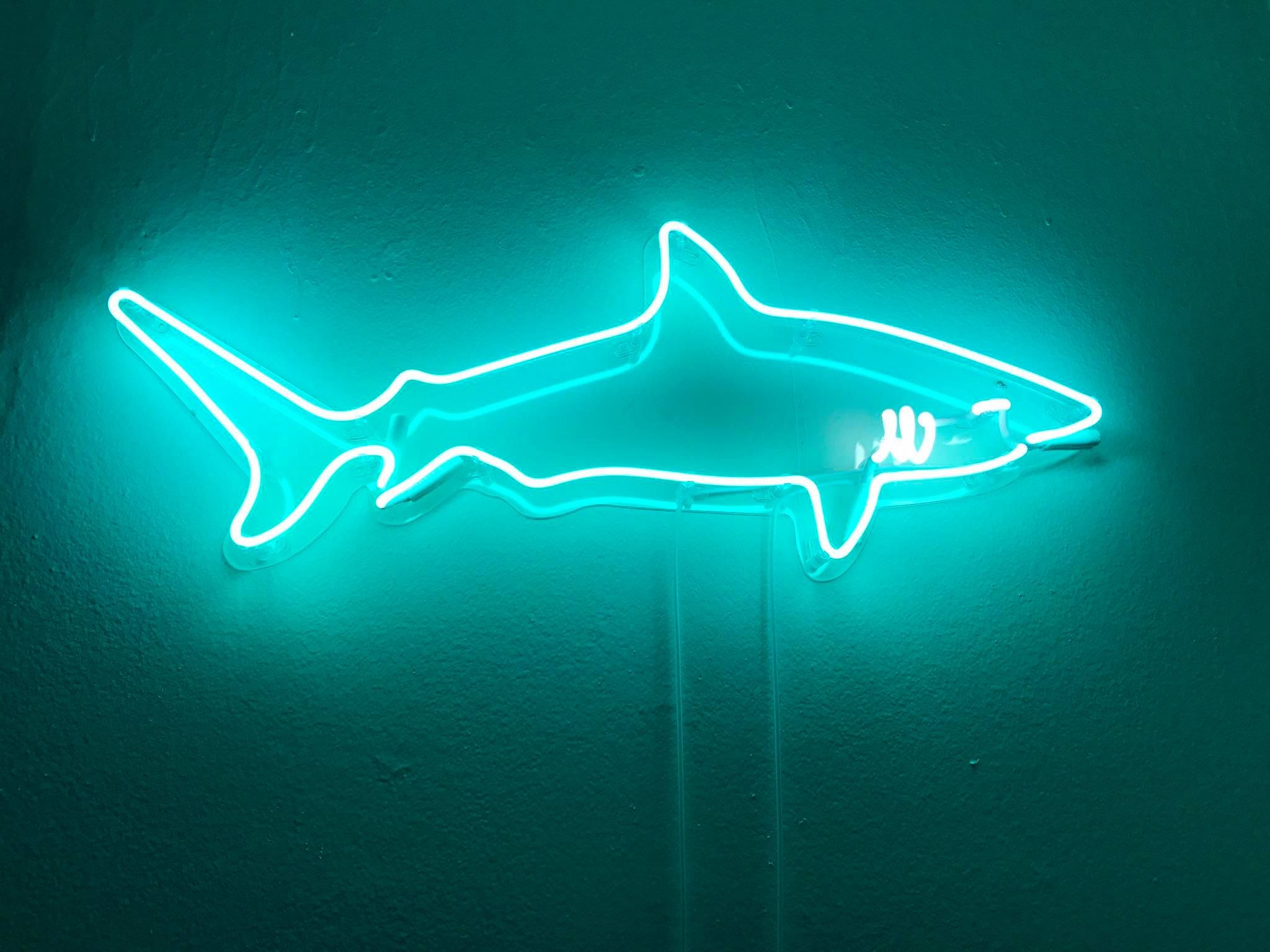 Neon Shark Wallpaper Free Neon Shark Background