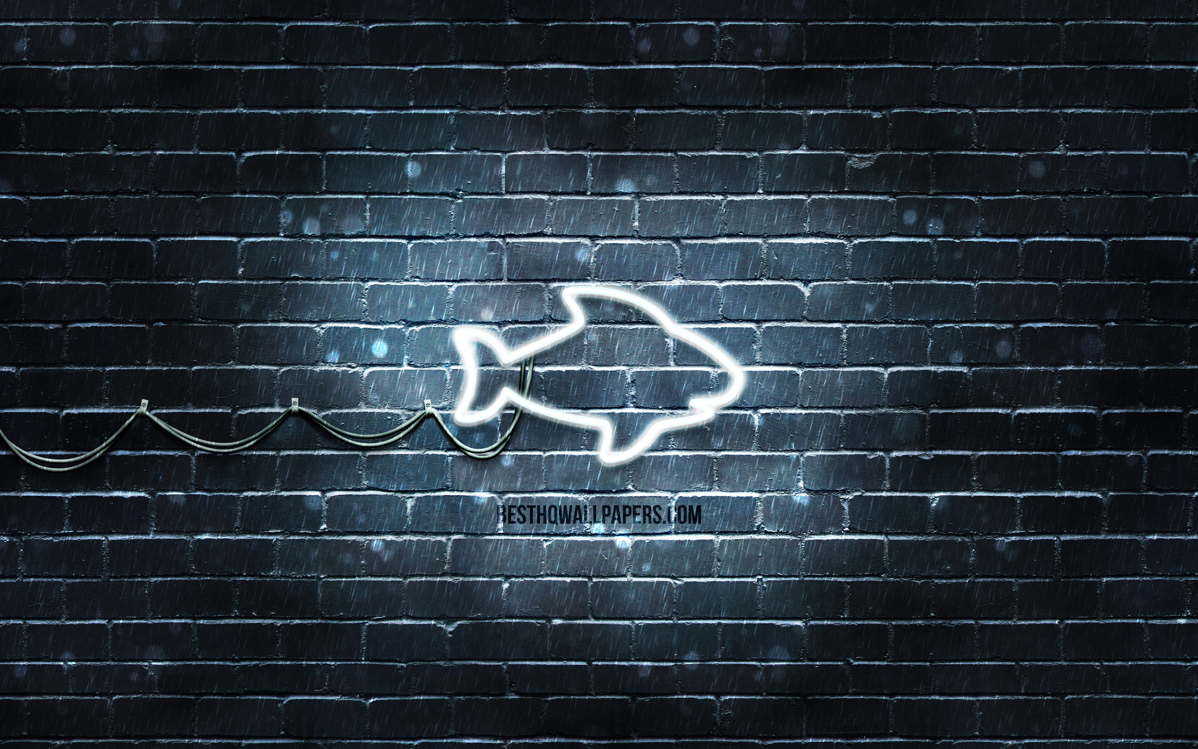 Download wallpaper White Shark neon icon, 4k, gray background, neon symbols, White Shark, creative, neon icons, White Shark sign, animals signs, White Shark icon, animals icons for desktop with resolution 3840x2400. High