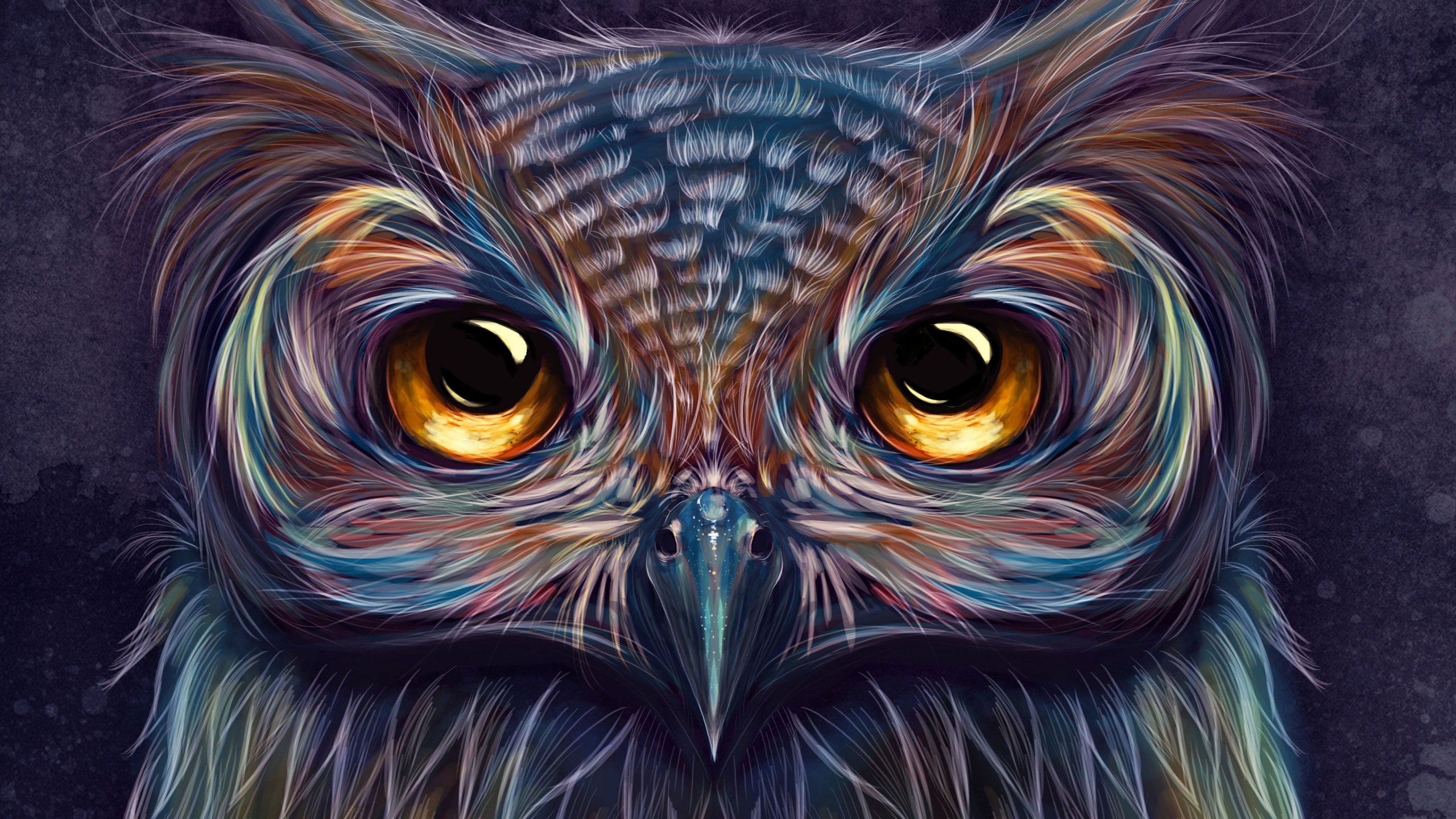 Wallpaper 4k Owl Colorful Art 4k Wallpaper