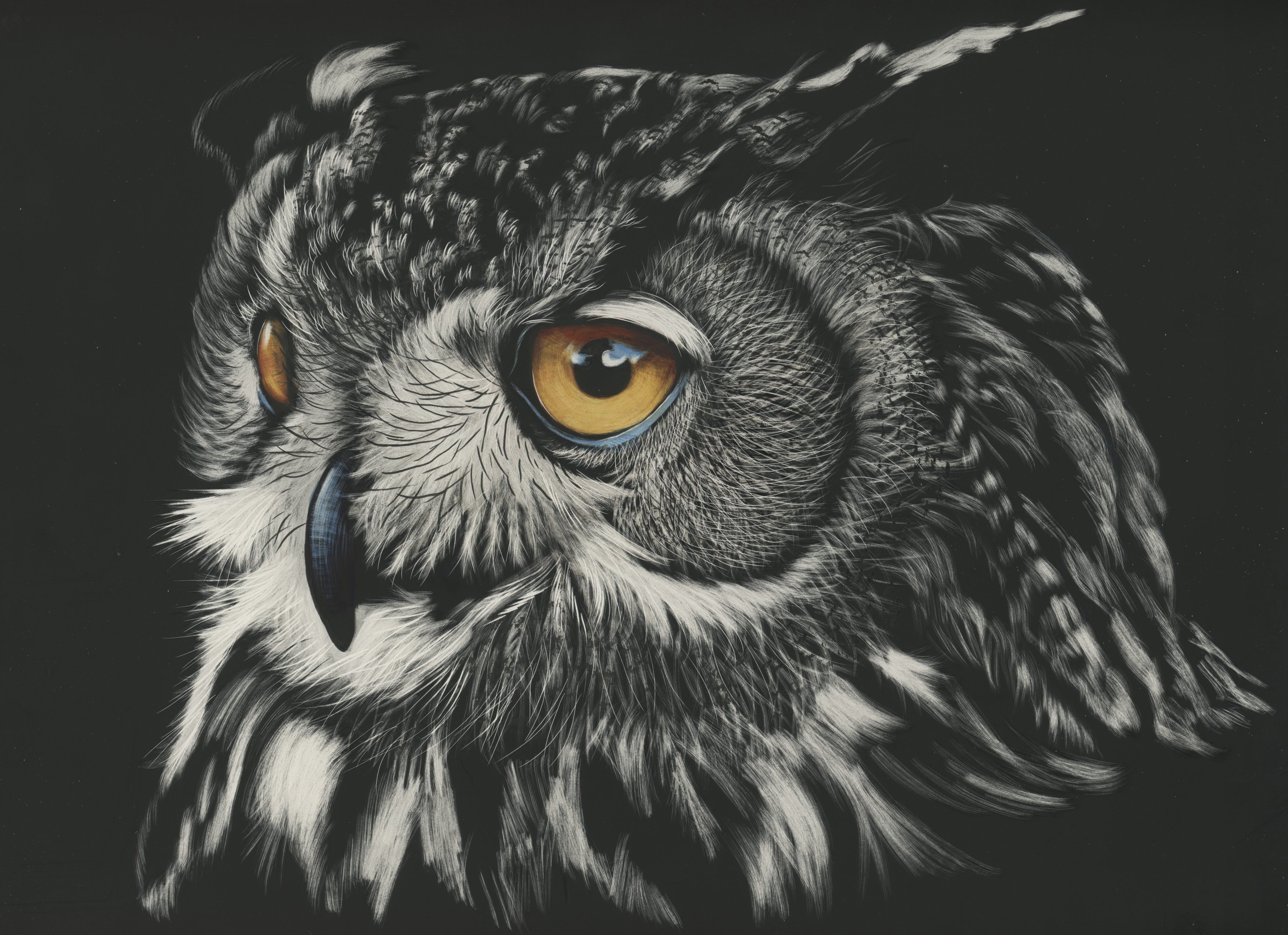 Owl Painting 4k, HD Animals, 4k Wallpaper, Image, Background, Photo and Picture
