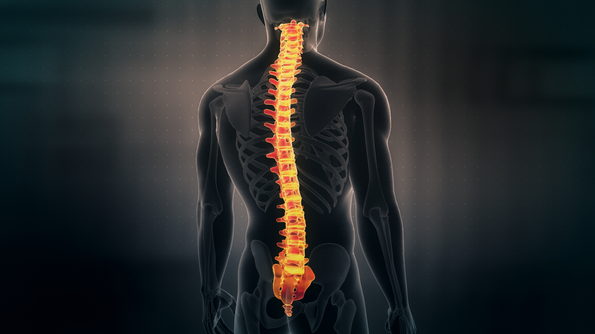 Futuristic Interface Display of Human Male Spinal Cord on dark background
