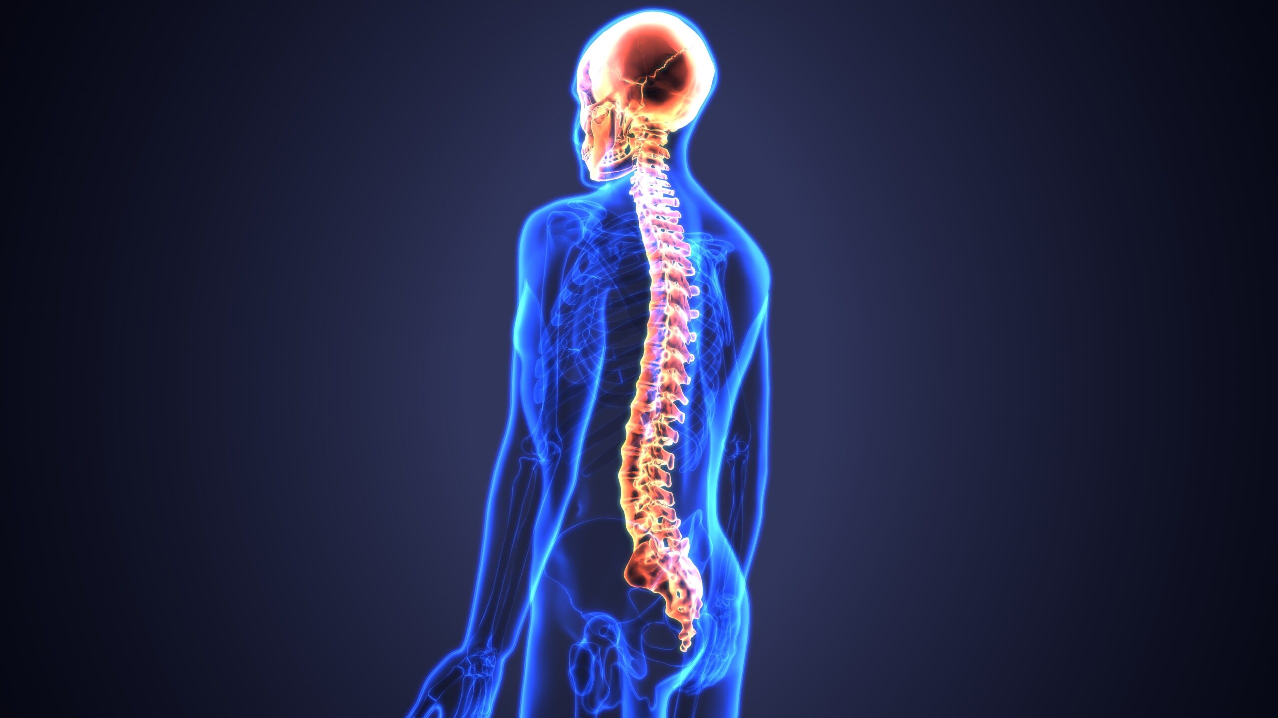 Spinal Cord Wallpapers - Wallpaper Cave