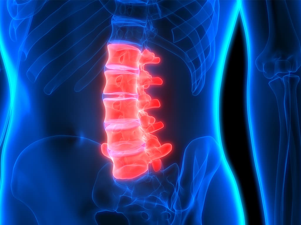 Lumbar Spinal Cord Injuries (L1 L5) Explained