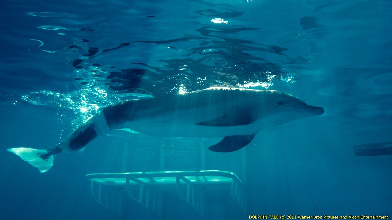 Winter Tale Wallpaper