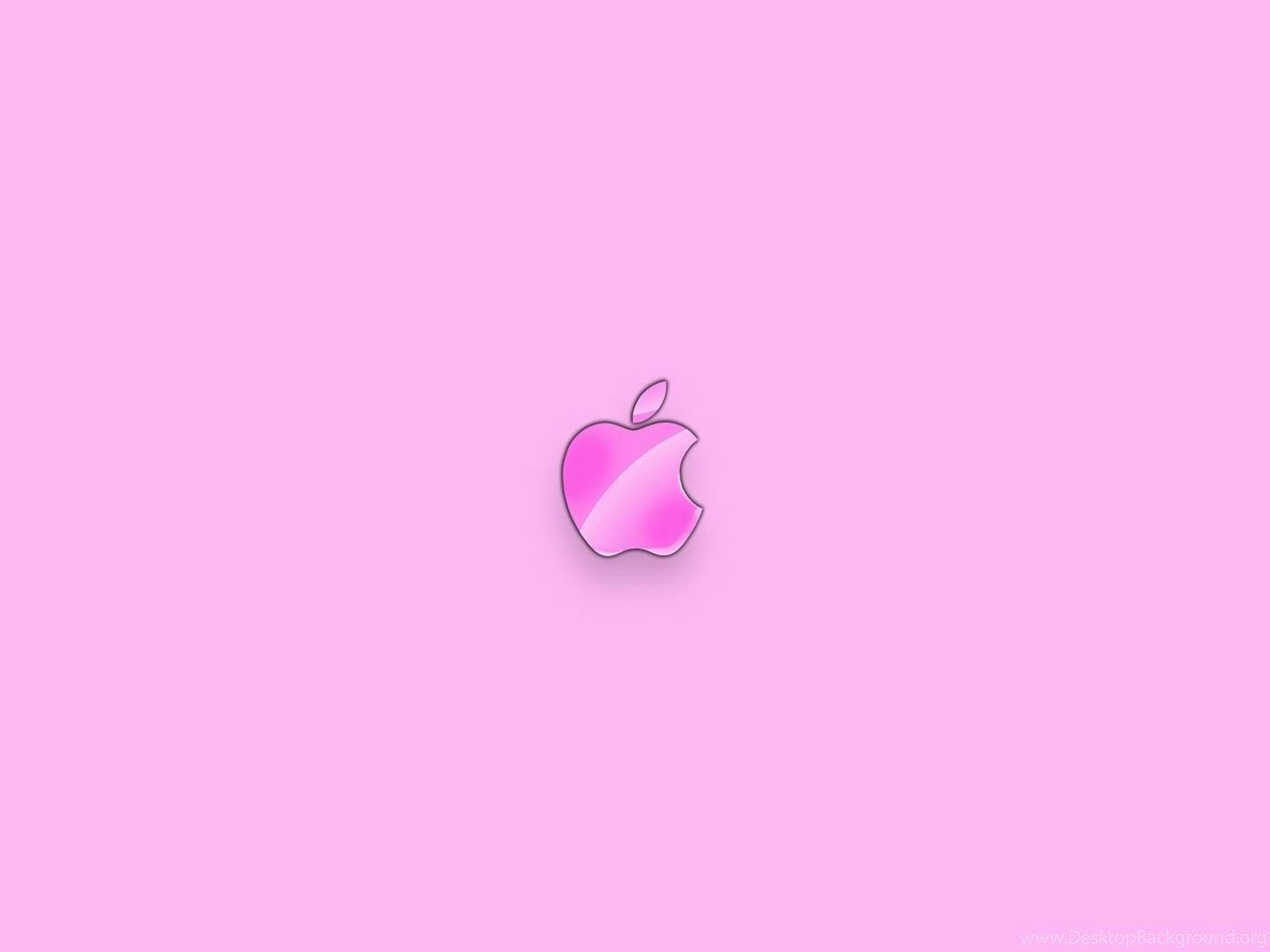 Apple Pink HD Wallpaper Desktop Background