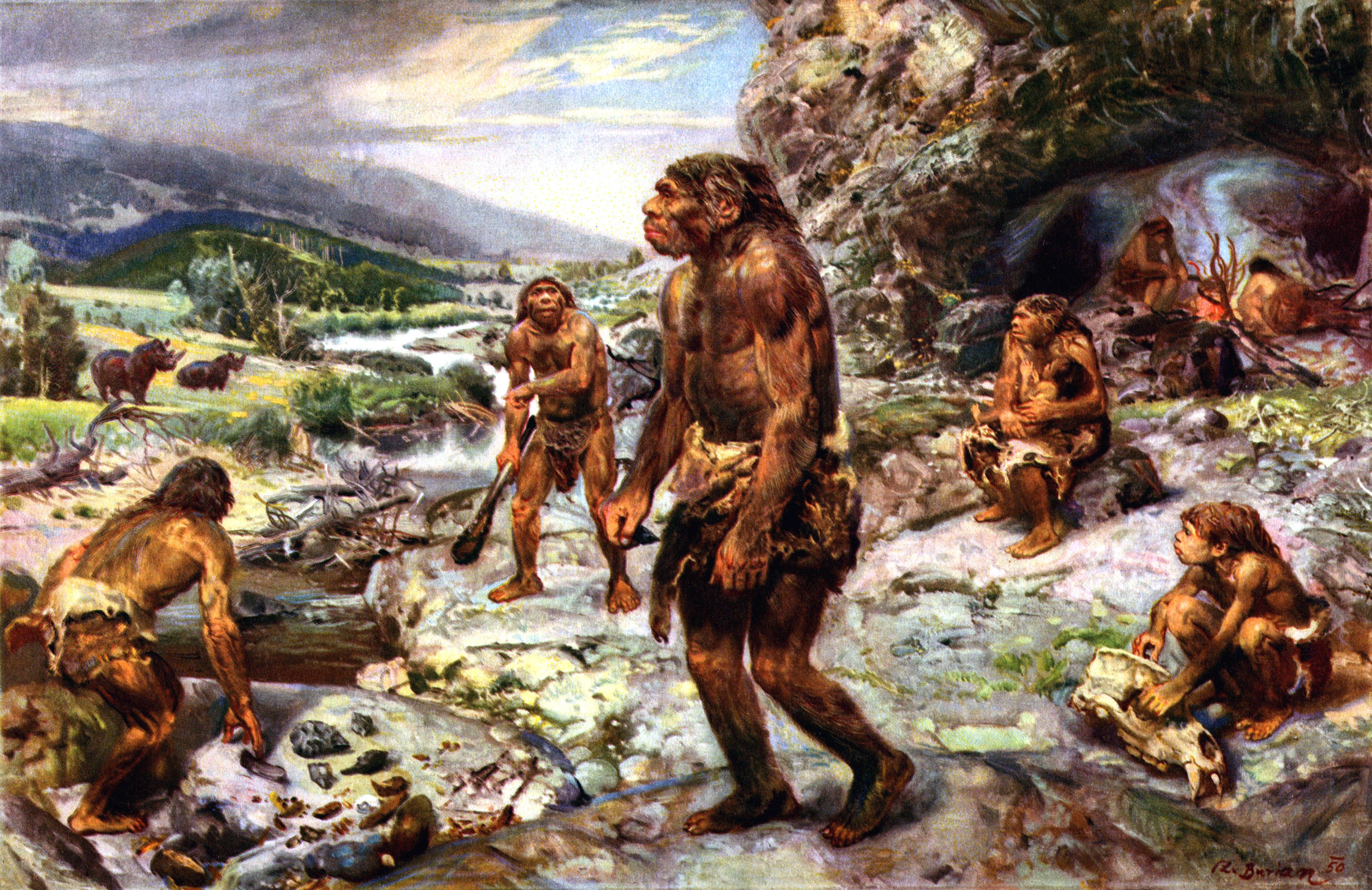 Neanderthal Wallpapers Wallpaper Cave   Wp10175450 