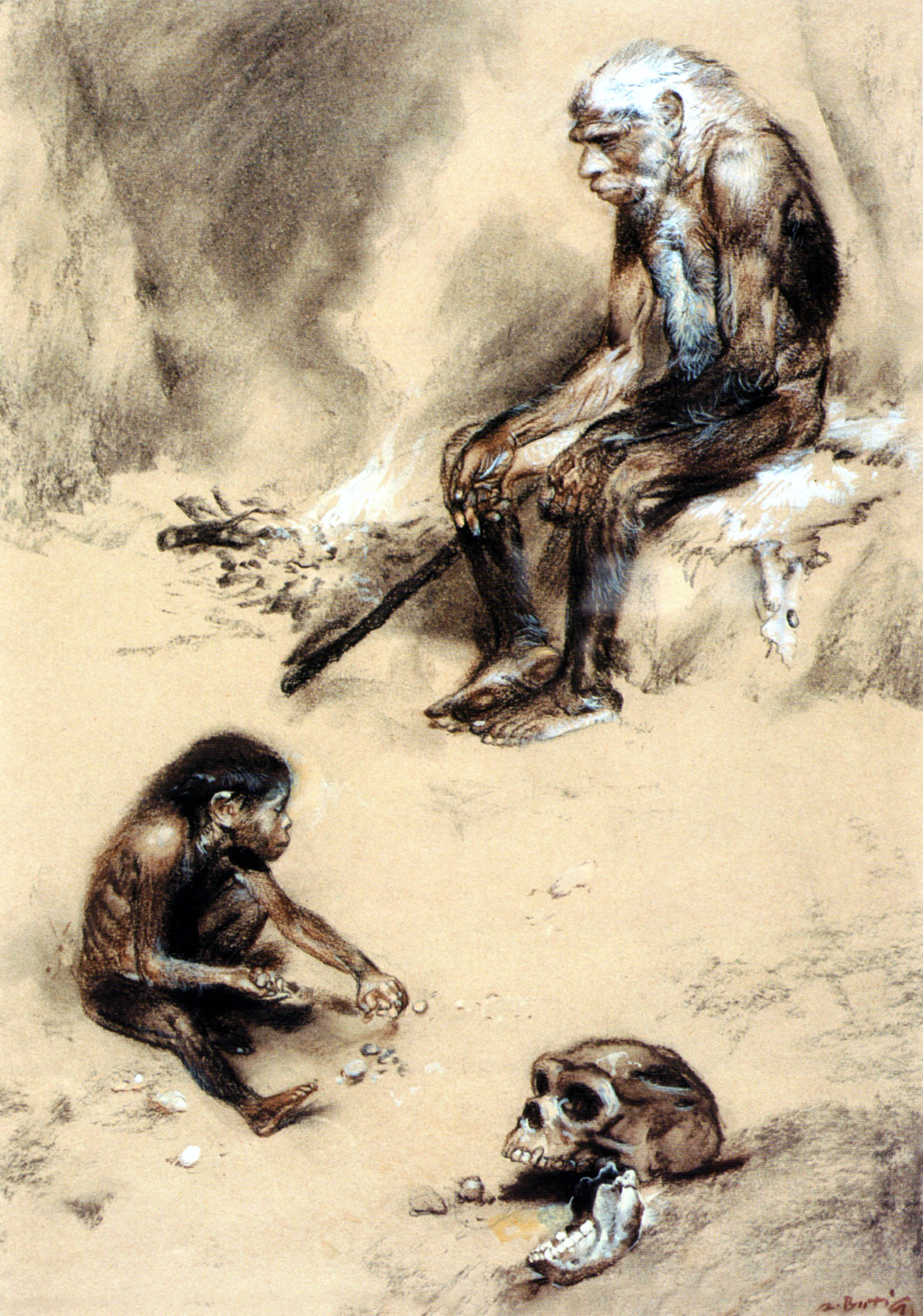 Neanderthal Wallpapers - Wallpaper Cave