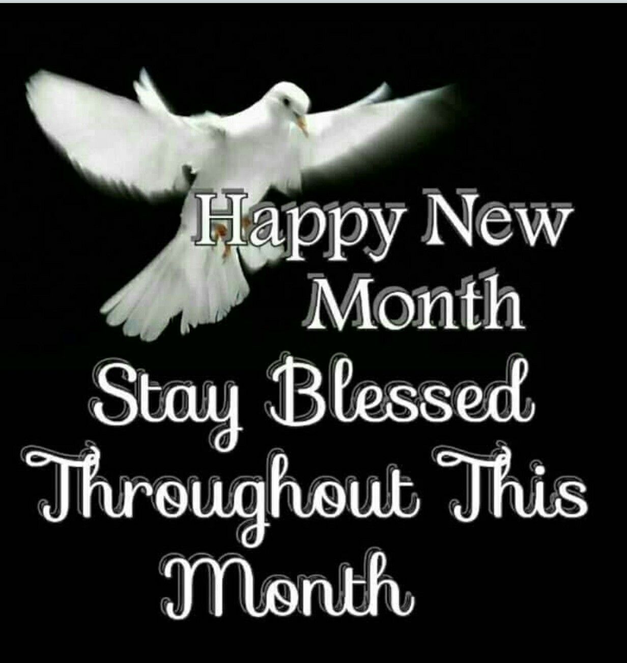 HAPPY NEW MONTH! ideas. new month, happy new, new month wishes