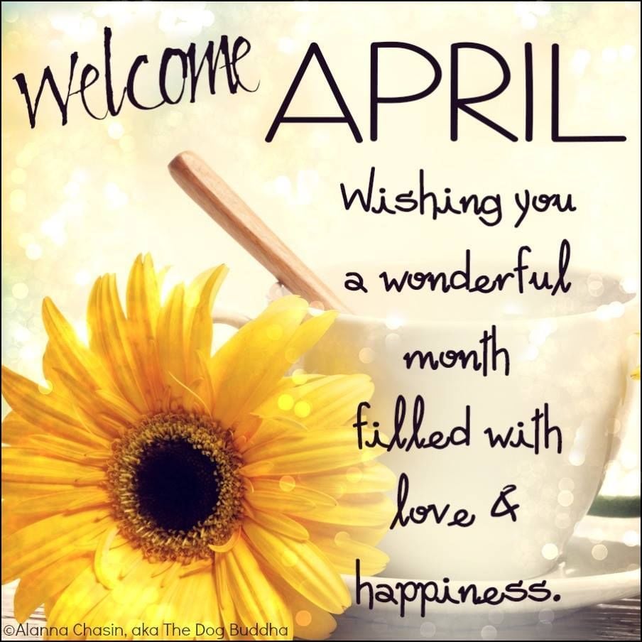 Welcome April! Wishing you a wonderful month filled with love & happiness. April quotes, Happy new month image, Happy new month quotes