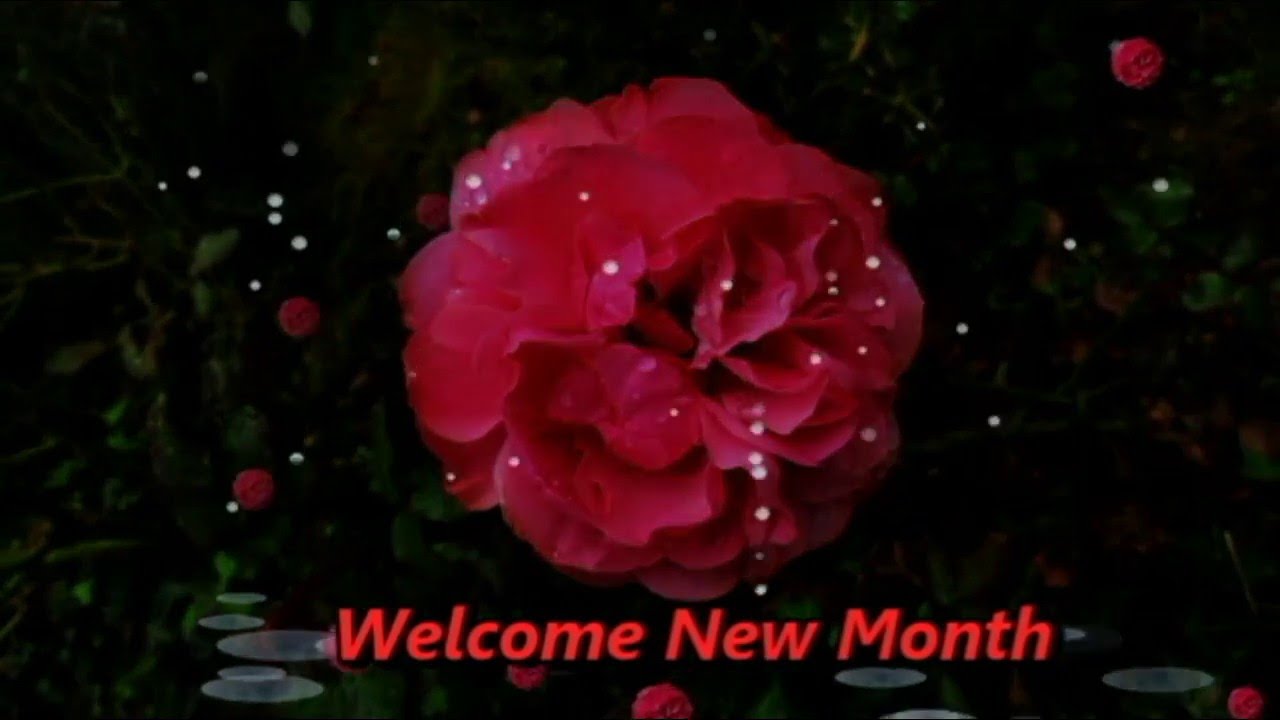 Happy New Month Blessings & Prayers Wishes, Quotes, Sms, Greetings, Whatsapp Video