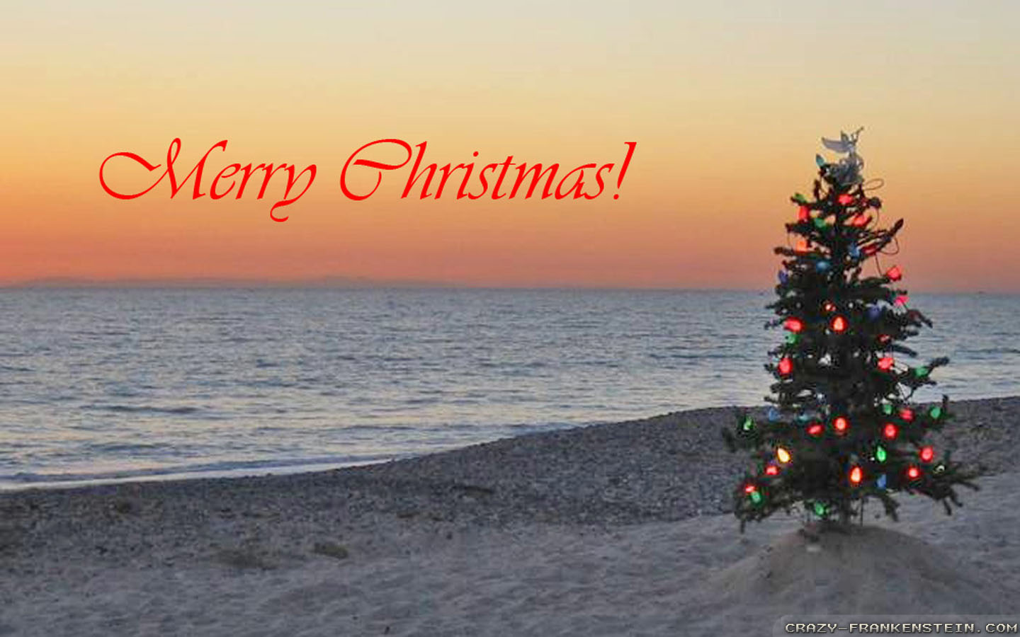 Free Beach Christmas Clipart, Download Free Beach Christmas Clipart png image, Free ClipArts on Clipart Library