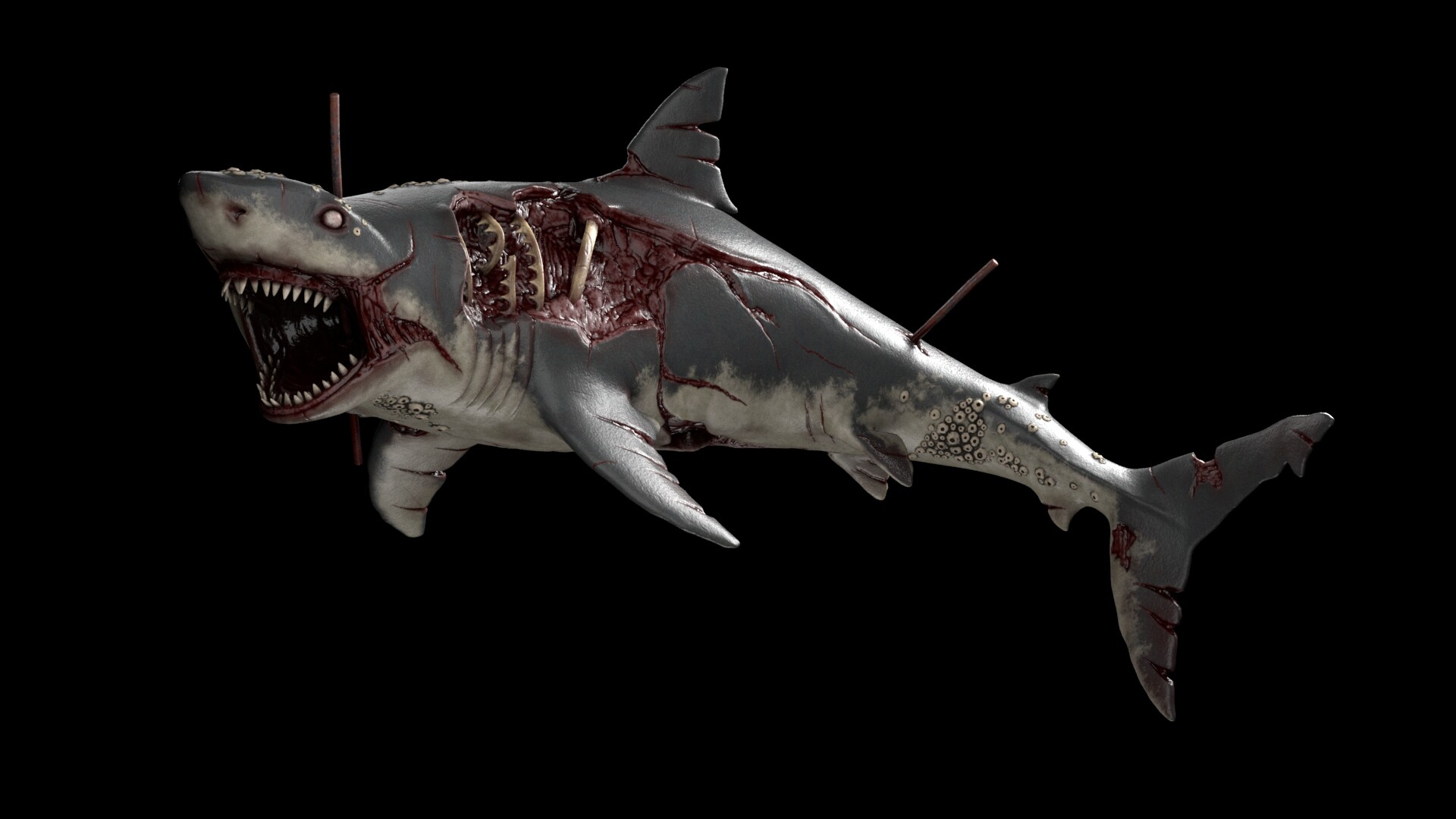 Zombie Shark, Enzo Ducos