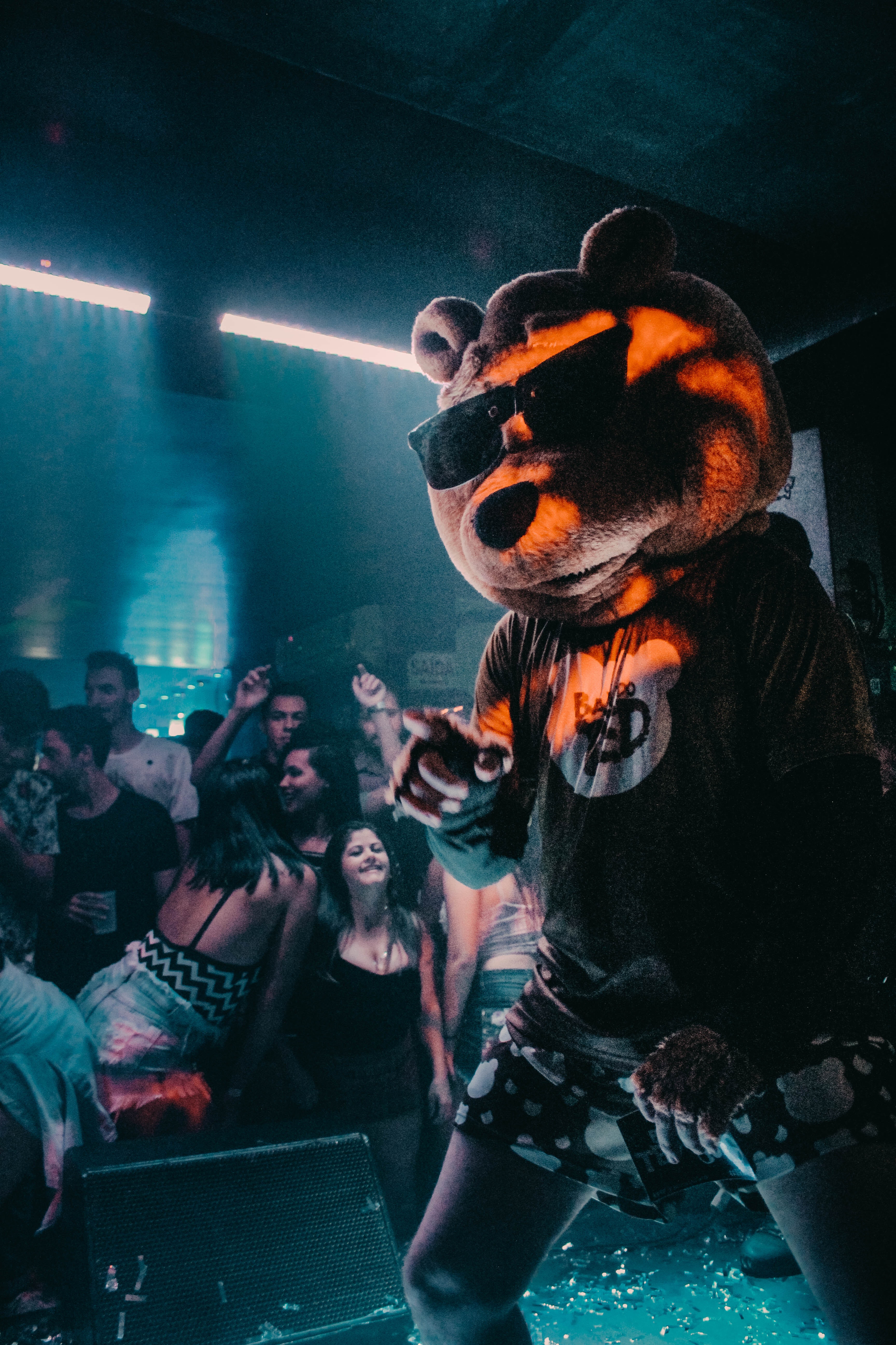 Person Wearing Bear Mask Dancing on Stage · Free
