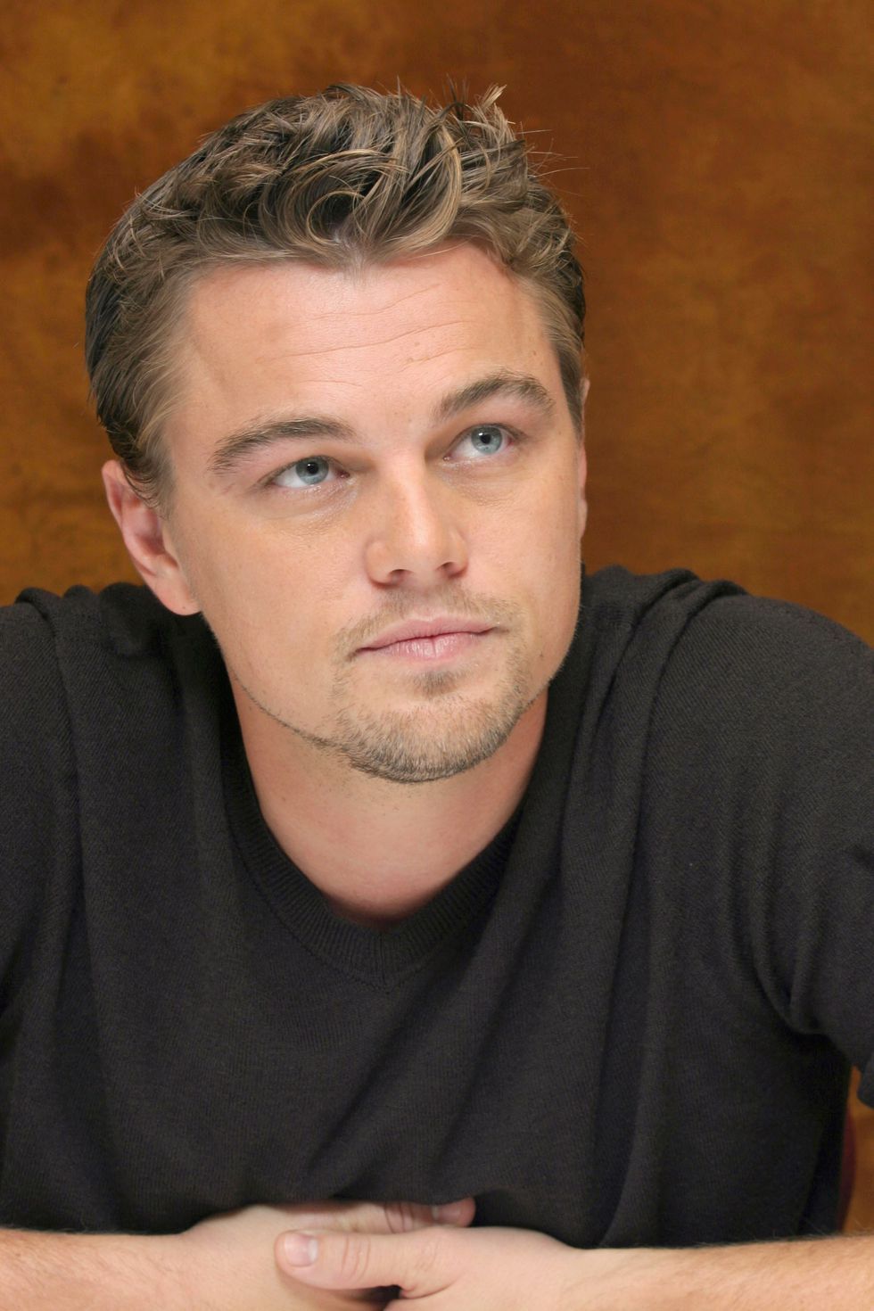 Leonardo DiCaprio Hollywood Transformation DiCaprio Photo