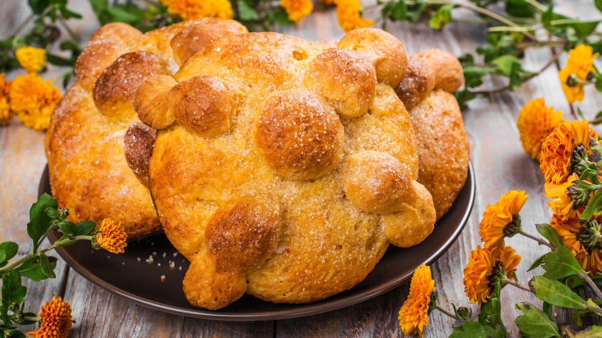 How to Celebrate Dia de Los Muertos. In the Light Urns