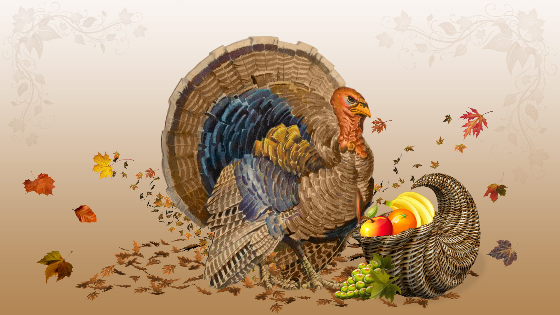 Turkey Painting With Fruits HD Thanksgiving Wallpaper