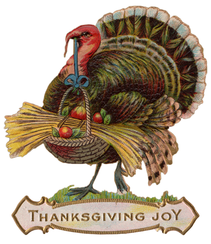 Free Download Thanksgiving Image