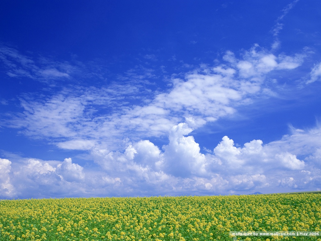 Beneath The Blue Sky Sky wallpaper 1024x768 NO.19 Desktop Wallpaper