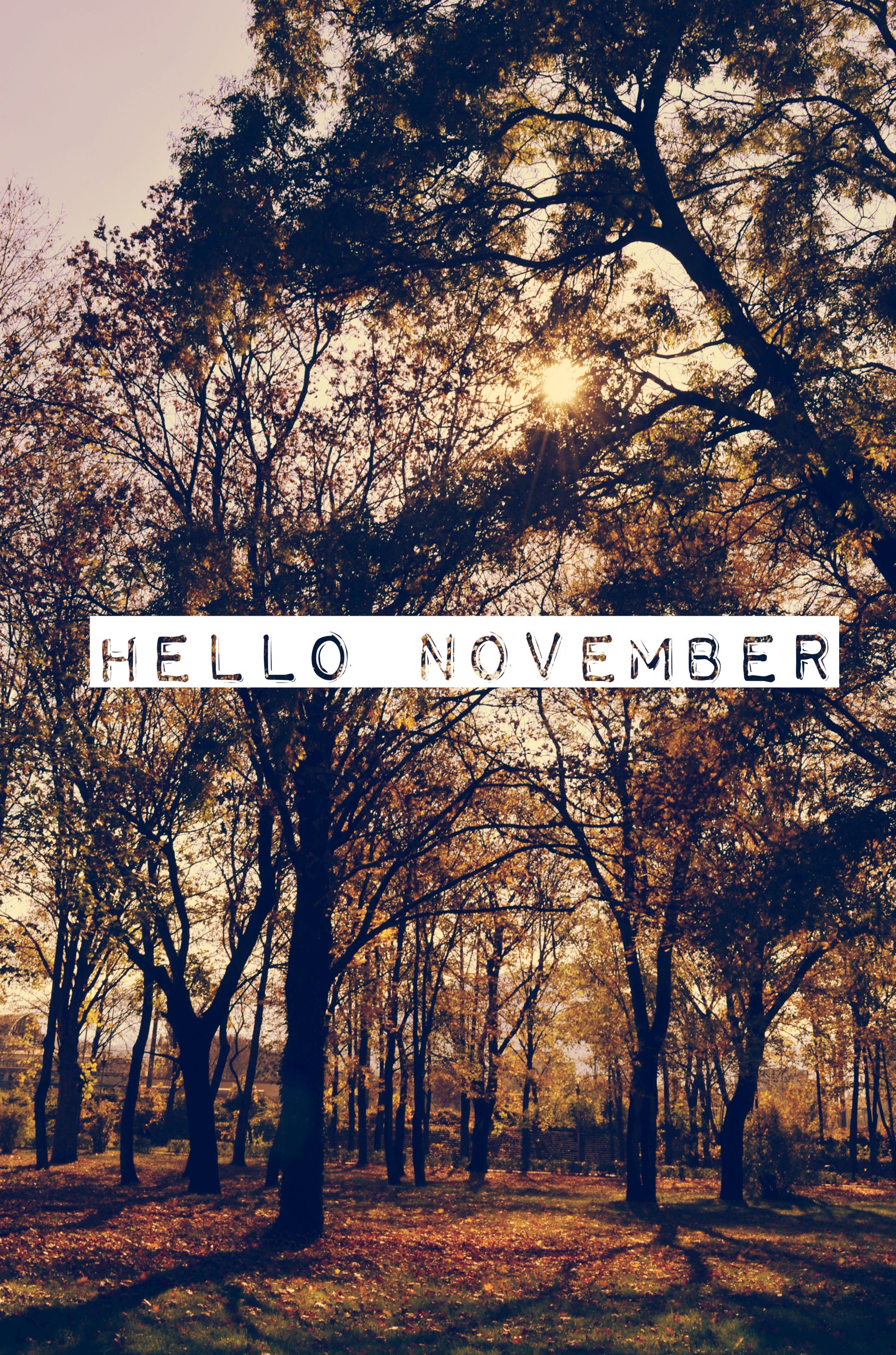 hello november