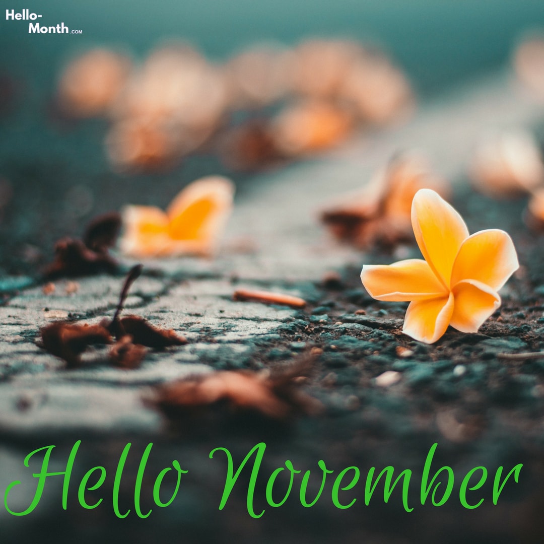 Free Hello November Wallpaper, Photo & HD Pics