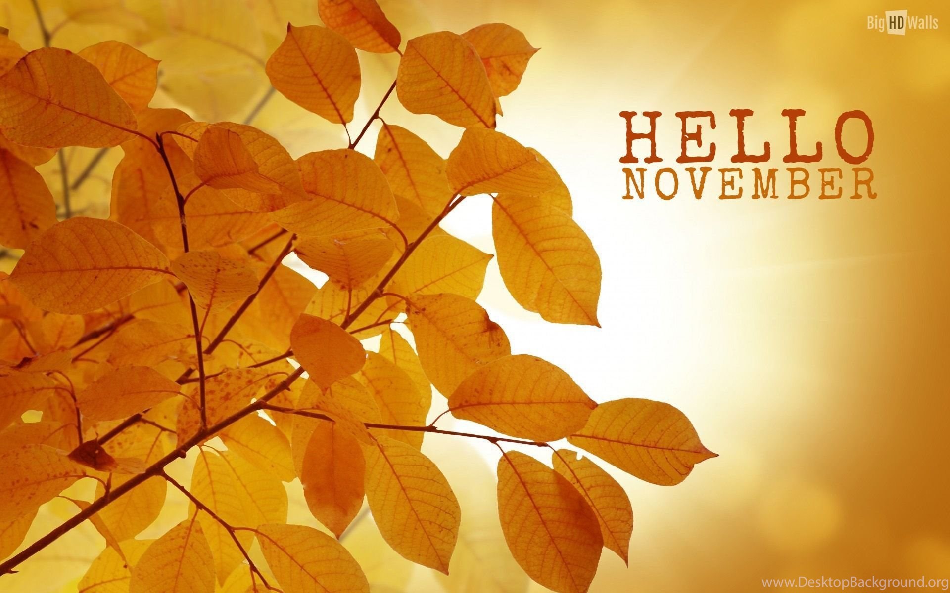 Hello November HD Wallpaper Desktop Background