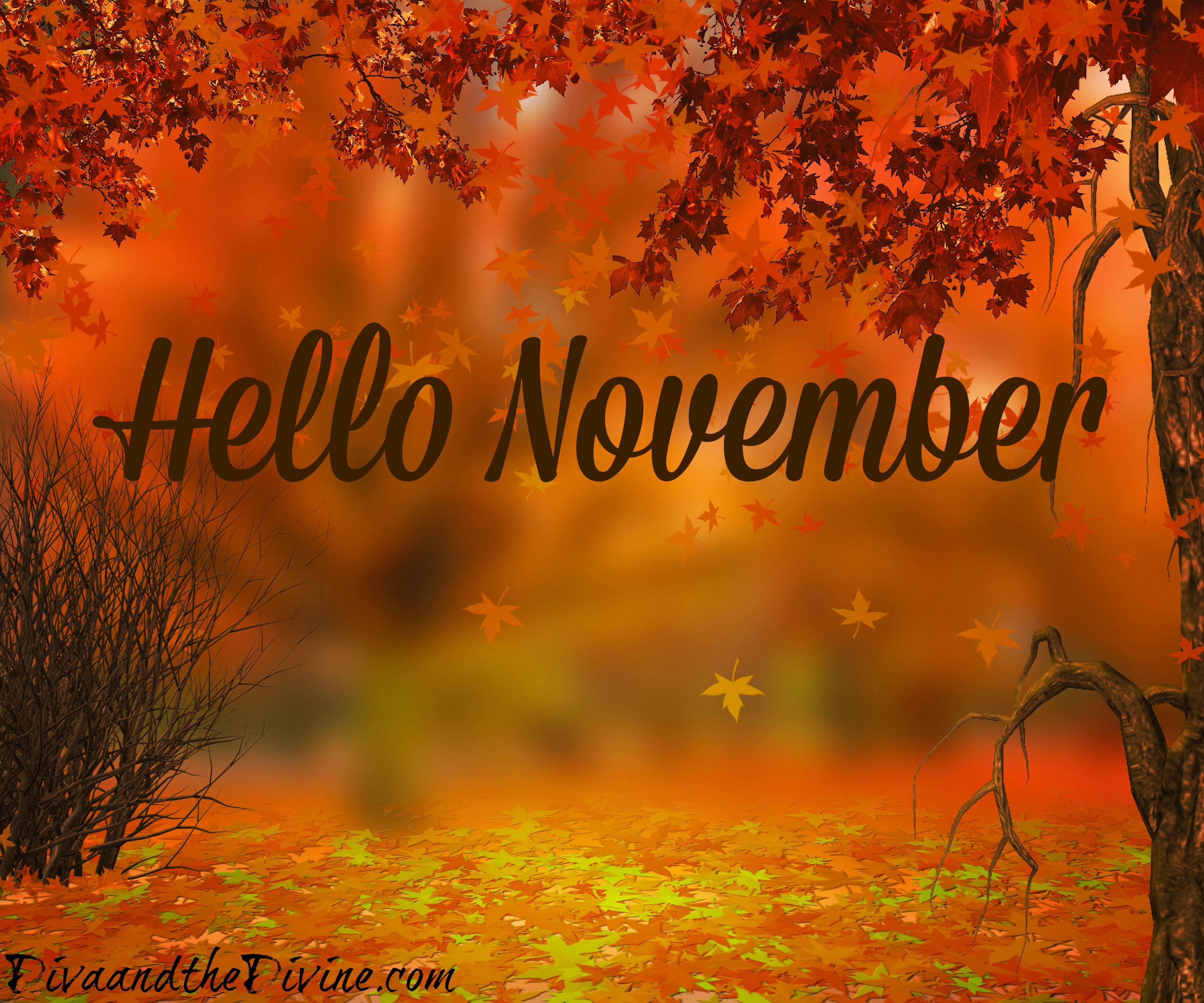 HELLO NOVEMBER picture, Hello november, November image
