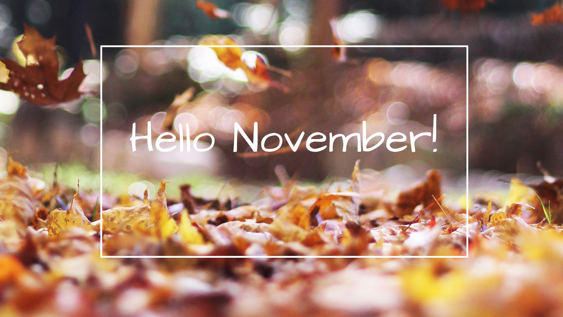 Hello November Autumn Leaves Colorful Bokeh Background HD November Wallpaper