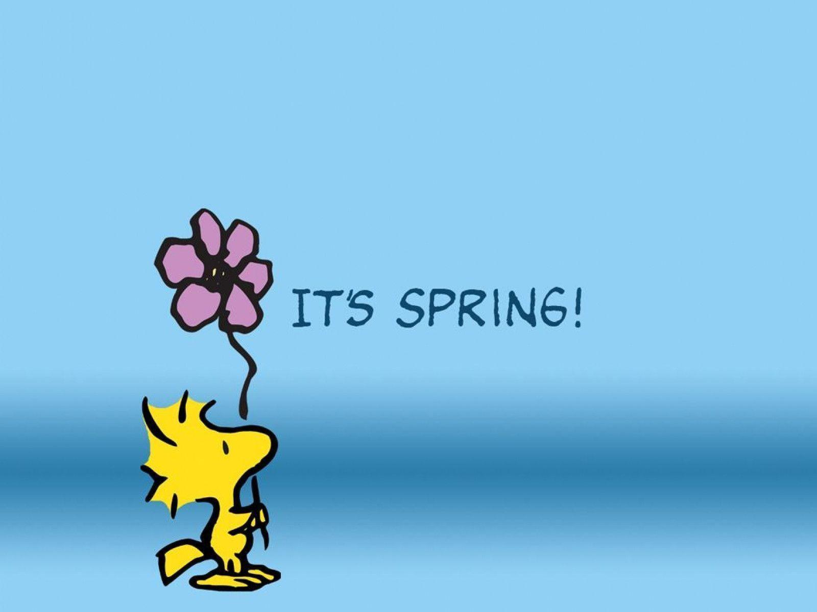 Snoopy Spring Wallpaper Free Snoopy Spring Background