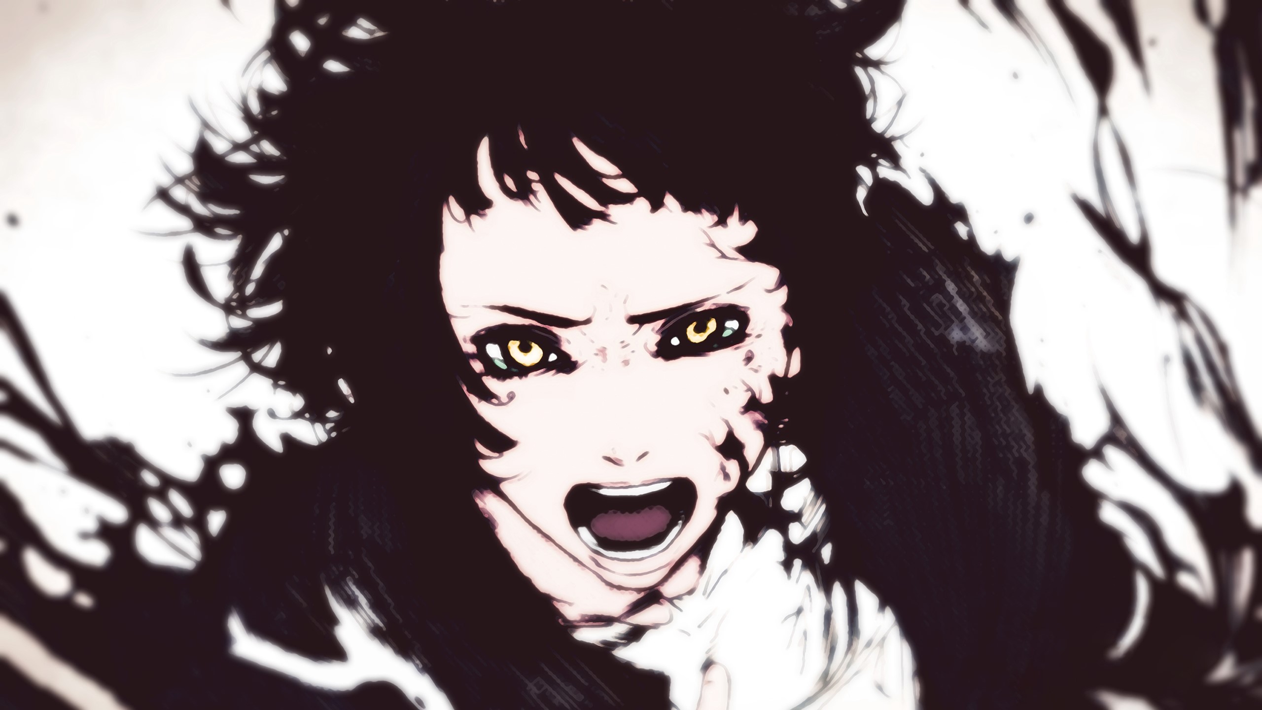 HD Wallpaper for theme: LEVIUS HD wallpaper, background