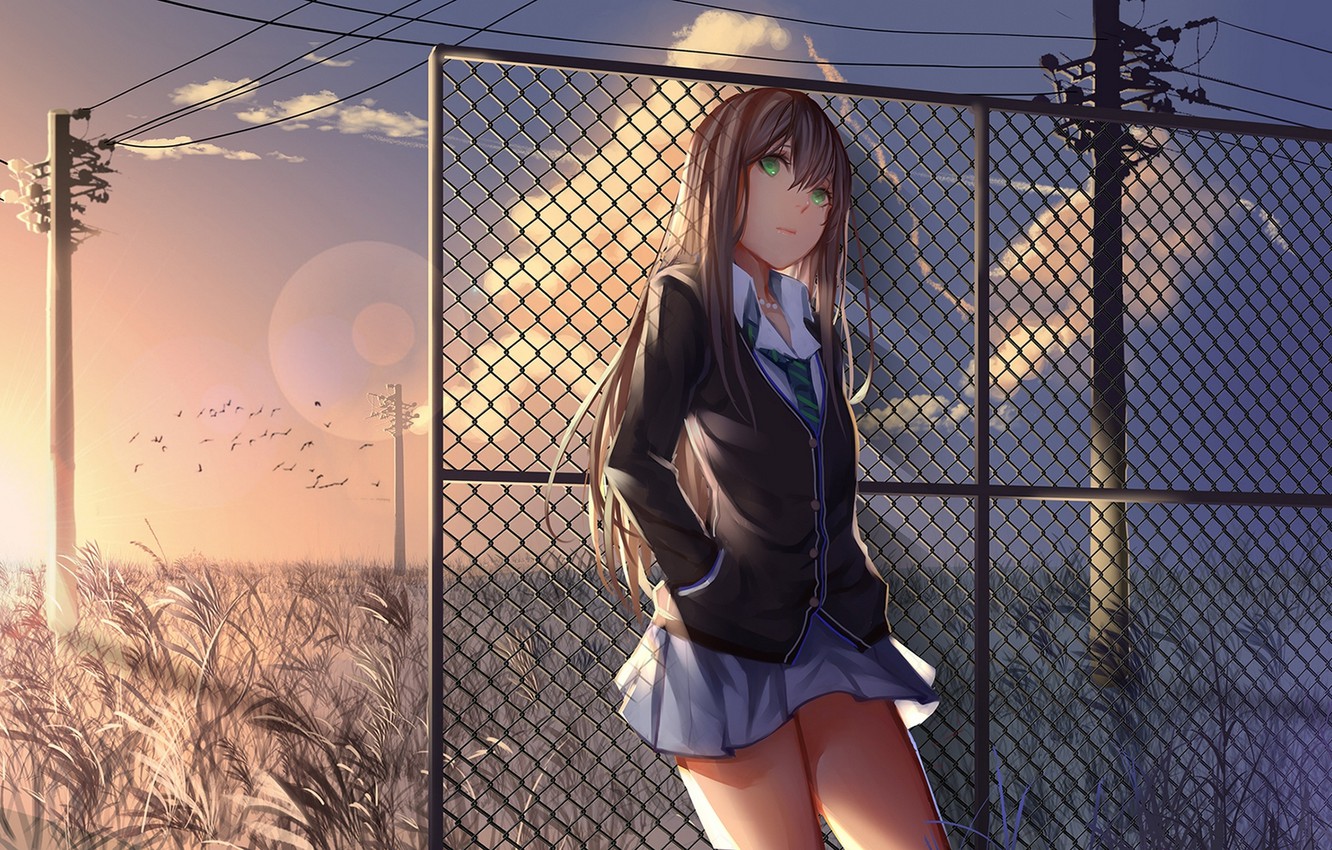 Wallpapers the sky, girl, clouds, sunset, birds, posts, wire, anime, art, s...