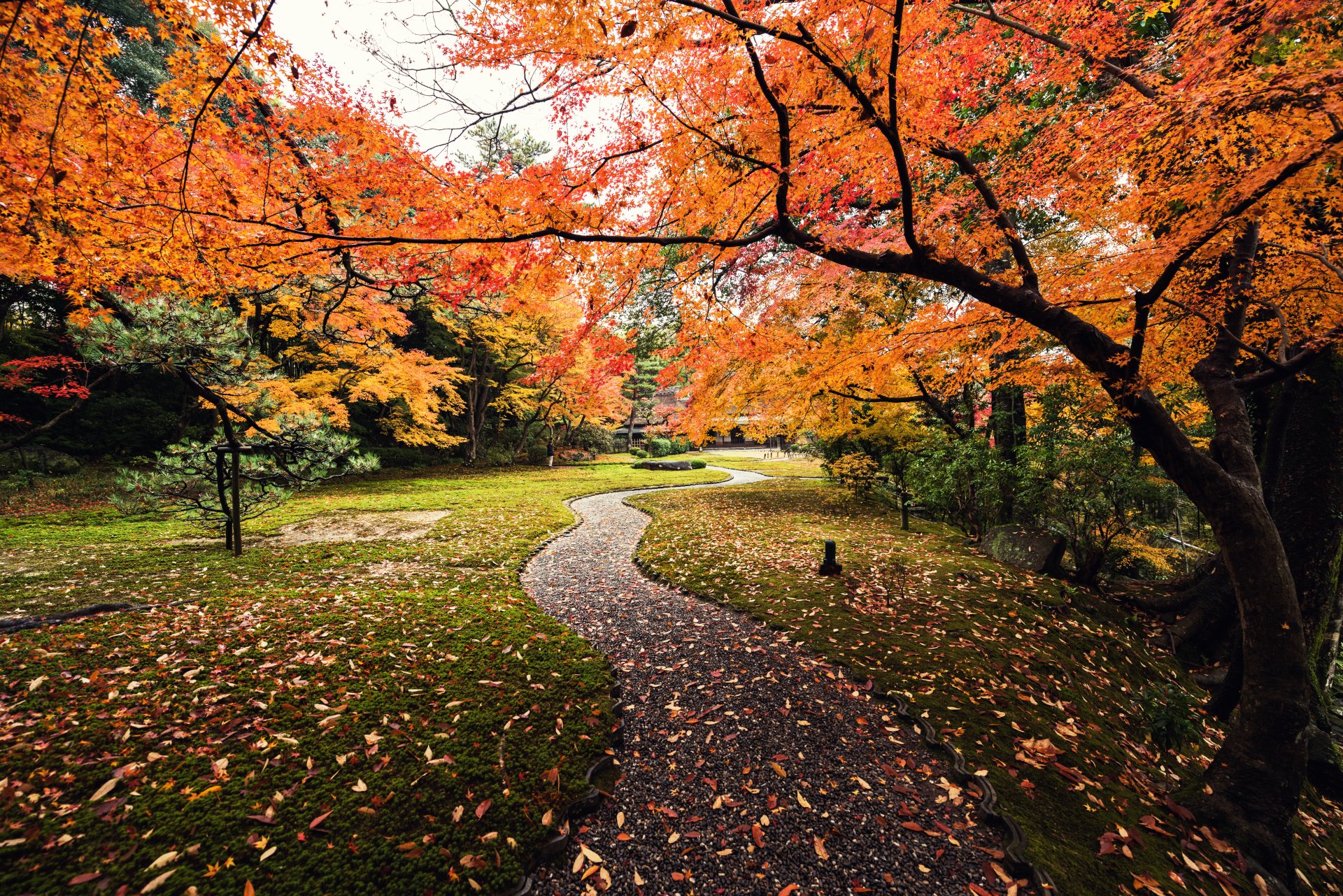 Autumn Pathway in Japan Ultra HD Garden Serenity