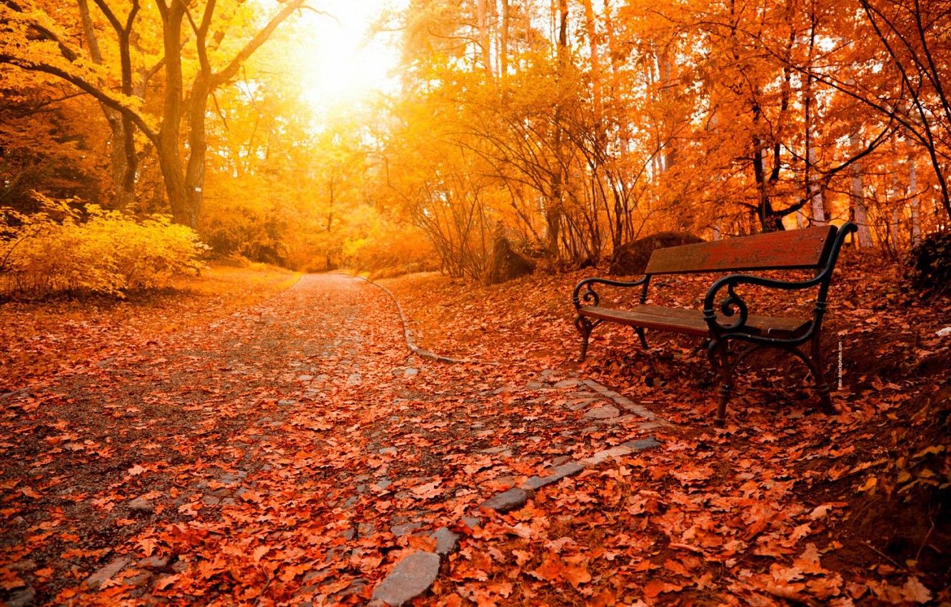 Relaxing Autumn Day Wallpaper Free Relaxing Autumn Day Background