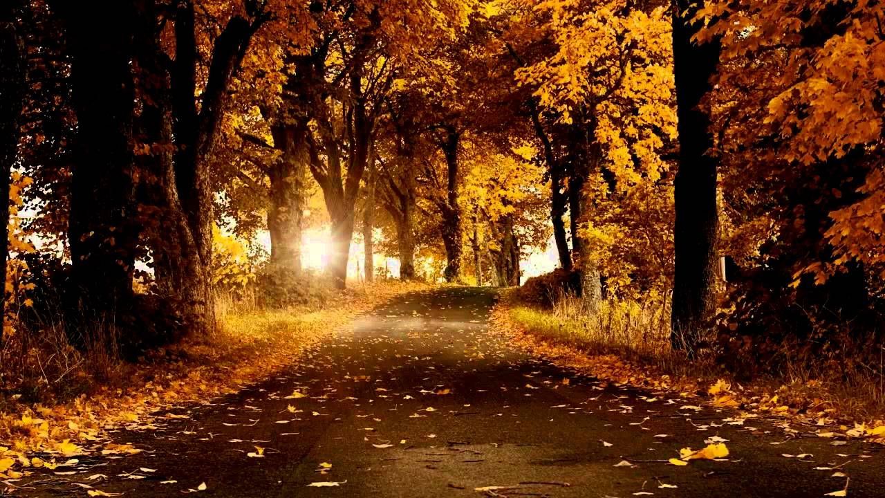 Relaxing Autumn Day Wallpaper, HD Relaxing Autumn Day Background on WallpaperBat