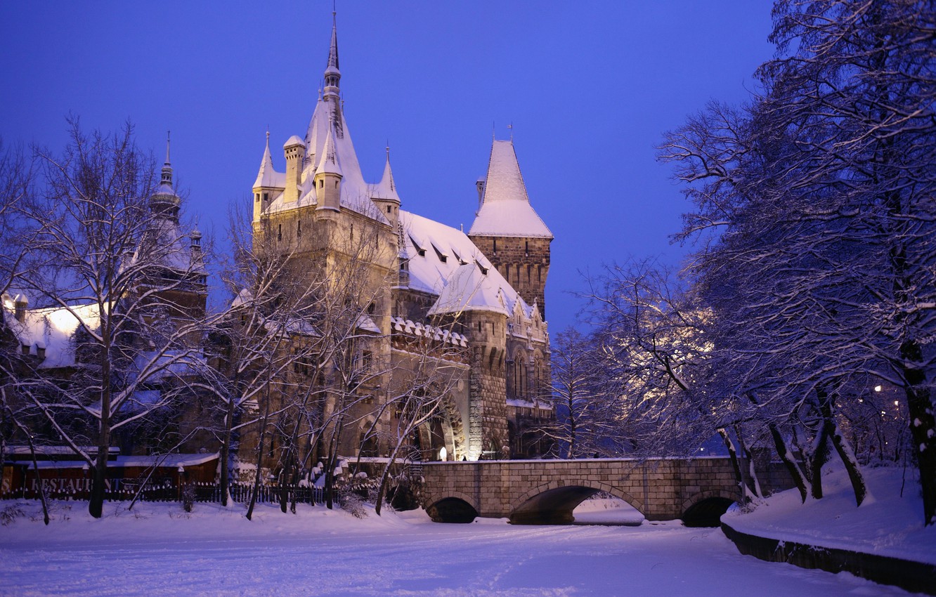 Wallpaper winter, snow, the city, photo, castle, Hungary, Budapest, Ter image for desktop, section город