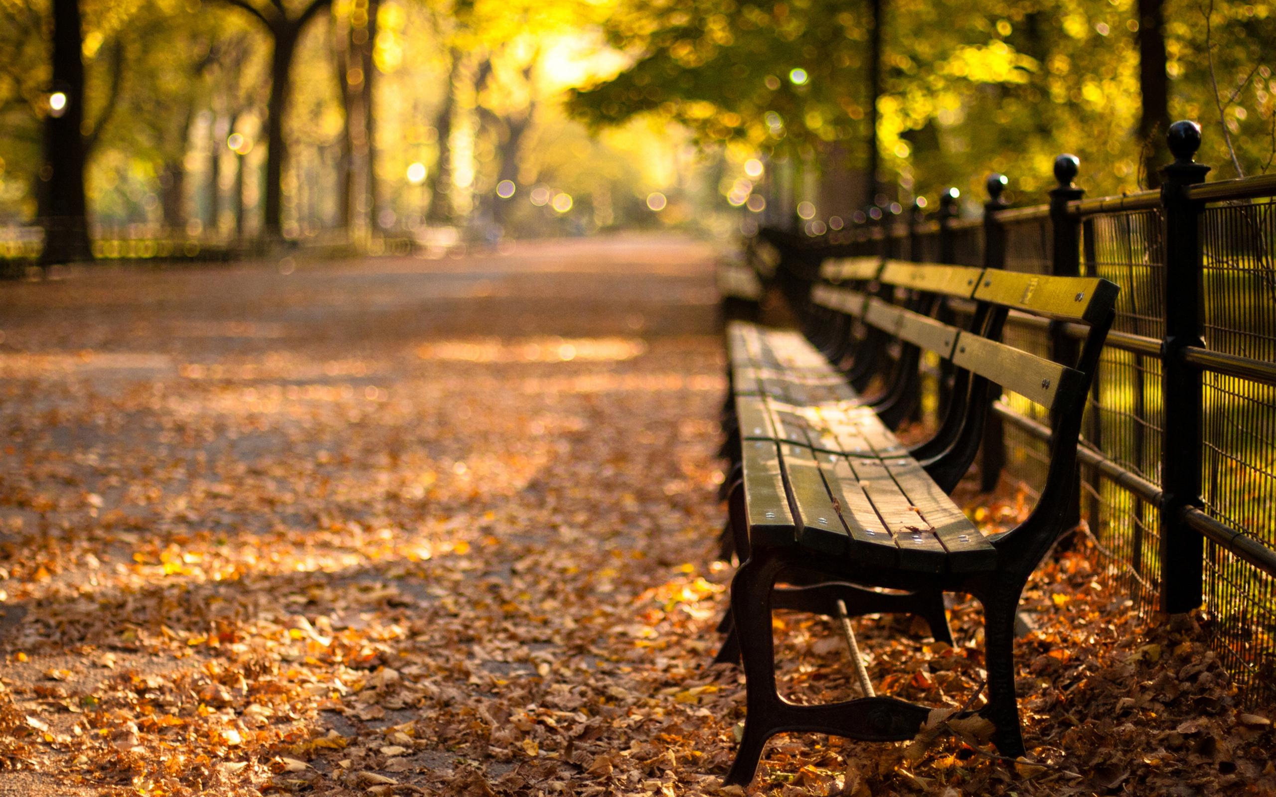 Relaxing time on a bench in the park