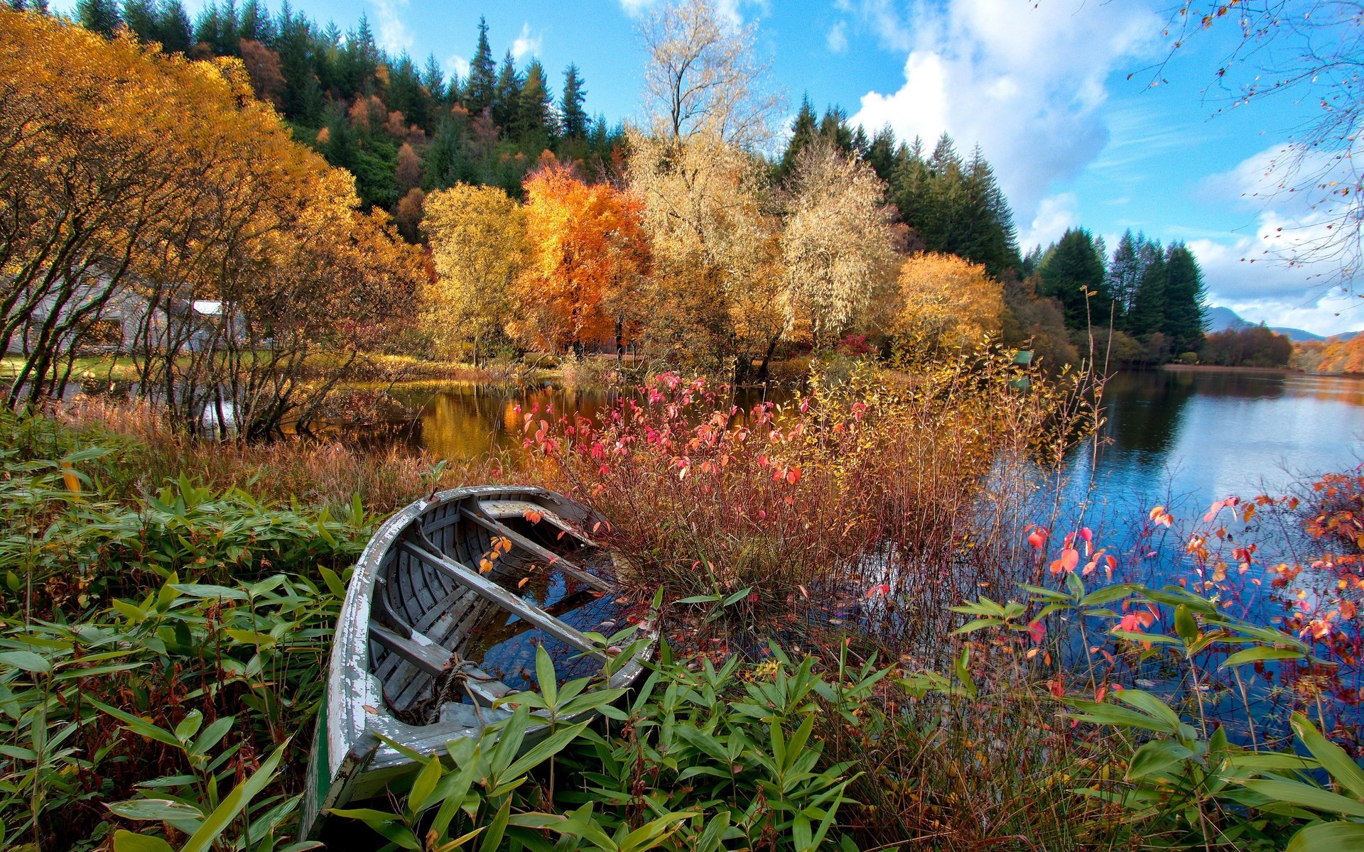 Wallpaper River, forest, autumn, trees, house, broken boat 1920x1200 HD Picture, Image