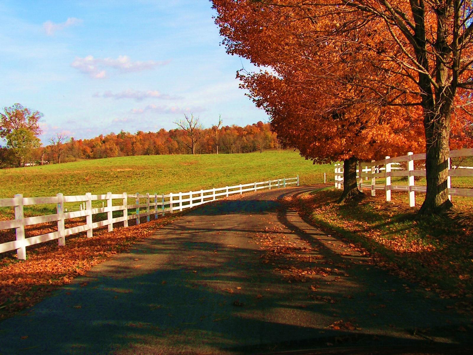 Beautiful Autumn Wallpaper